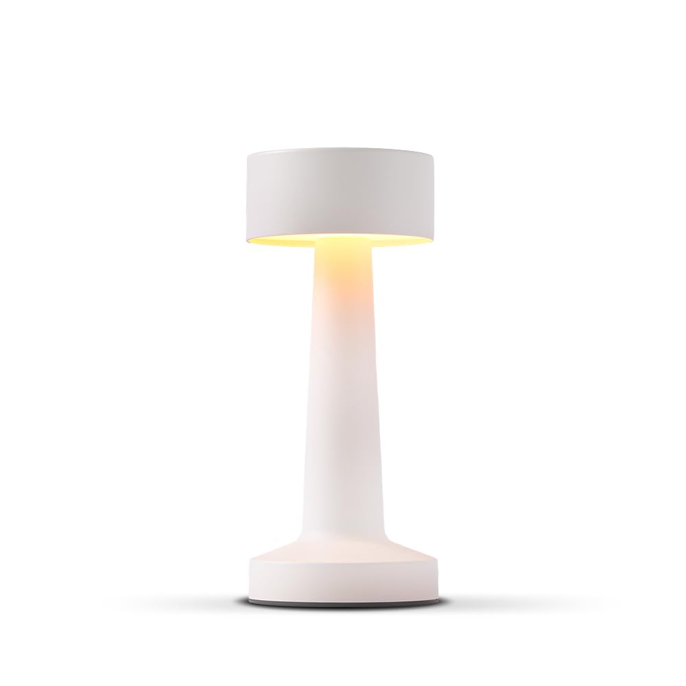 Ejfoiej Portable Led Table Lamp, 3-Levels Brightness Metal Desk Lamp, 3 Color Touch Control Rechargeable Night Light