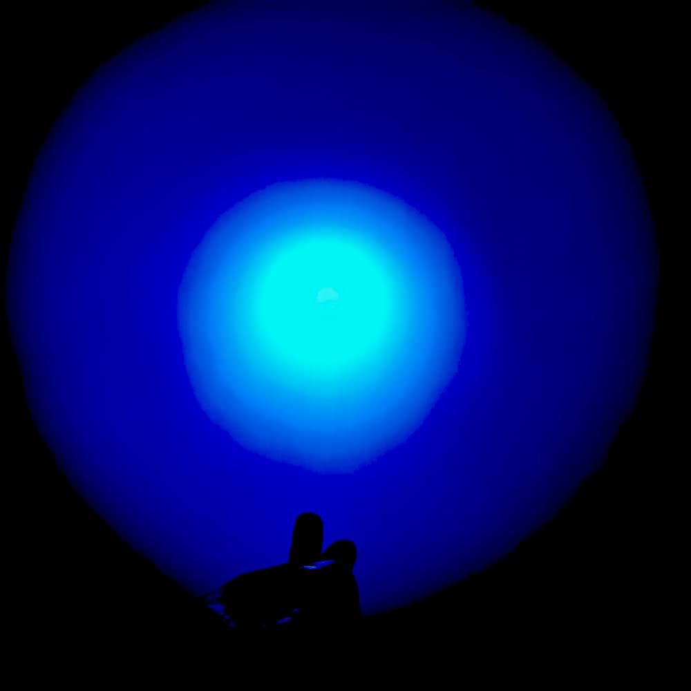 Wondsunson 2 X Blue Light Penlight Pen Type Flashlight One Mode Blue Light Led Torch For Camping Hiking Fishing Hunting Animal Protecting Night Vision