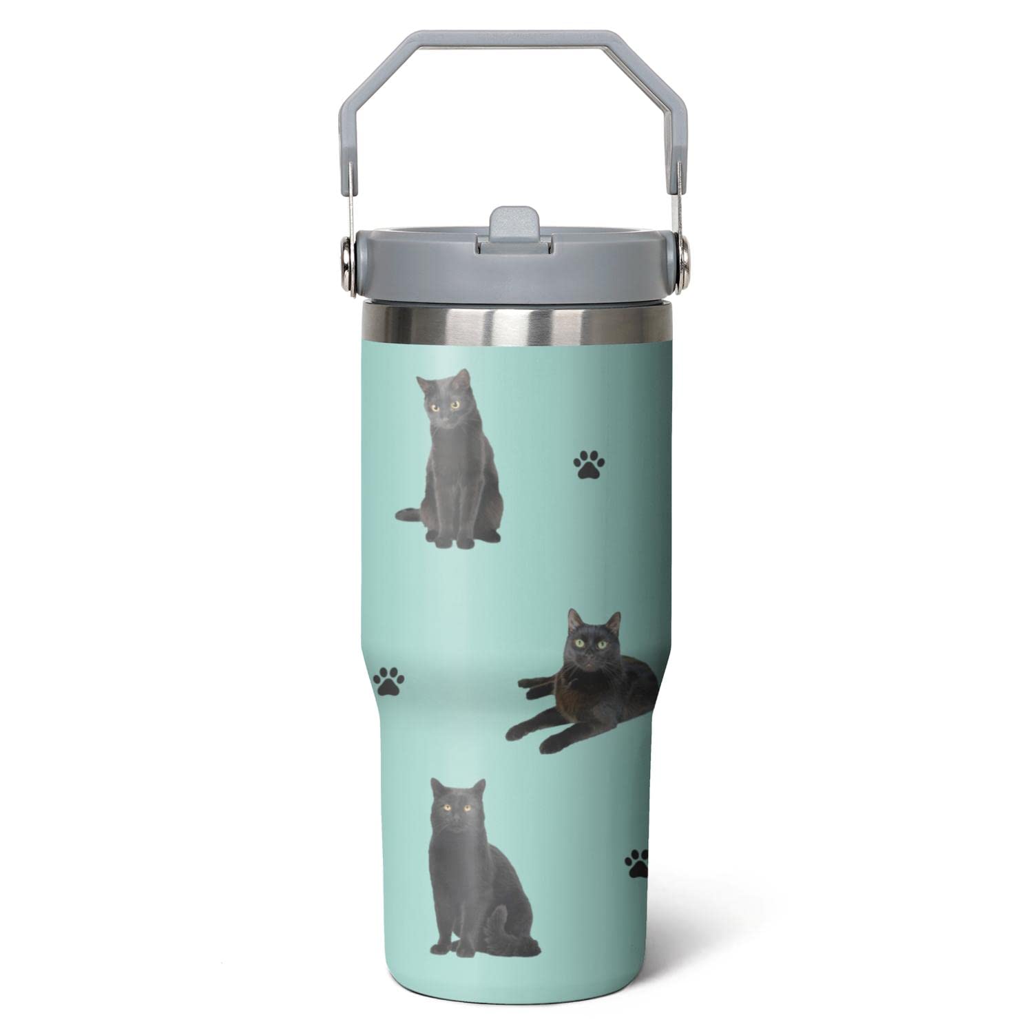 Cat Tumbler For Cat Owners, 30Oz Stainless Steel Vacuum Insulated Water Bottle (Cat-Seaform)