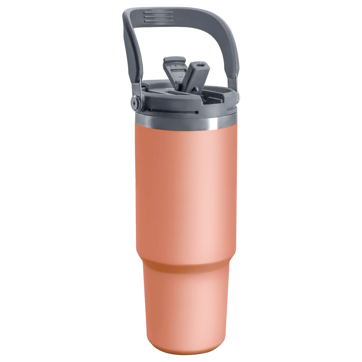 30 Oz Tumbler With 2-In-1 Lid And Straw, Vacuum Insulated Water Bottle With Handle, Double Wall