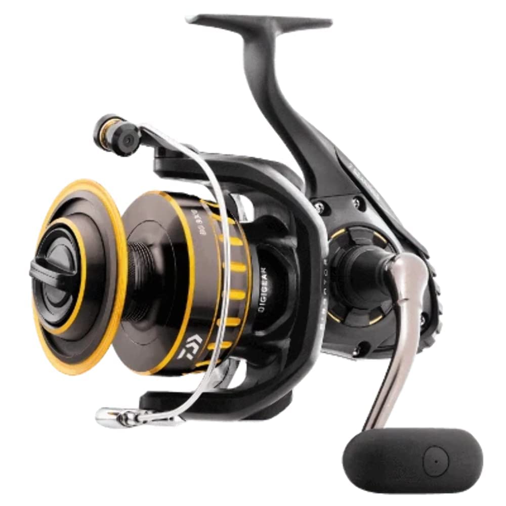 Daiwa Bg2000 Bg Saltwater Spinning Reel, Black/Gold