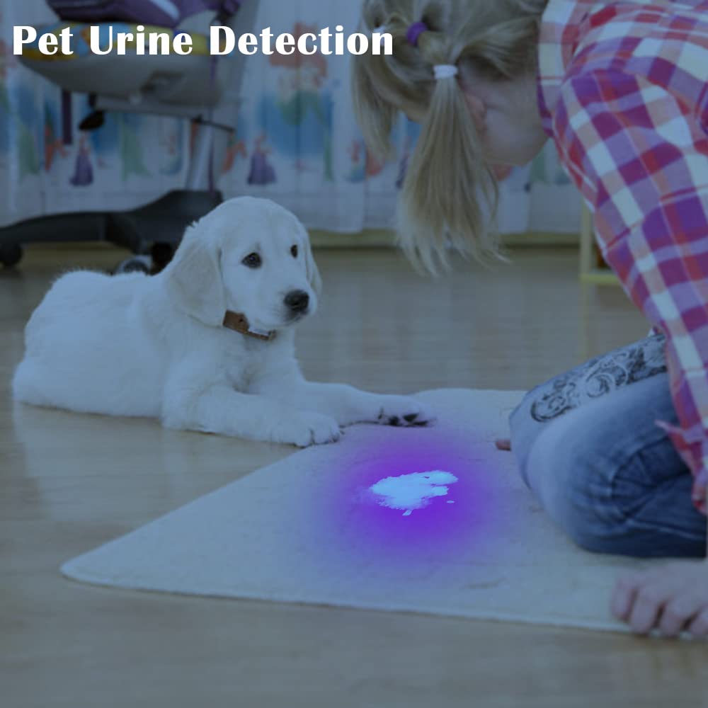 Beike Uv Flashlight Black Light–Small Portable Mini 12 Led Blacklight Flashlight For  Stain Detection In Room, Resin Curing,Scorpion & Bed Bug Find,Pet Urine & Dry Stain Detection/Carpets/Rugs/Floors