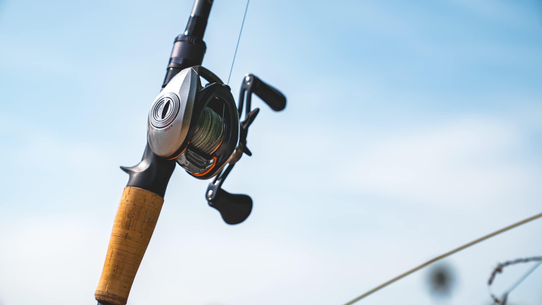 Daiwa Daiwa, Ca80 Casting Reel, 7.5:1 Gear Ratio, 9Bb+1Rb Bearings, 15 Lb Max Drag, Left Hand-Ca80Hsl,Silver