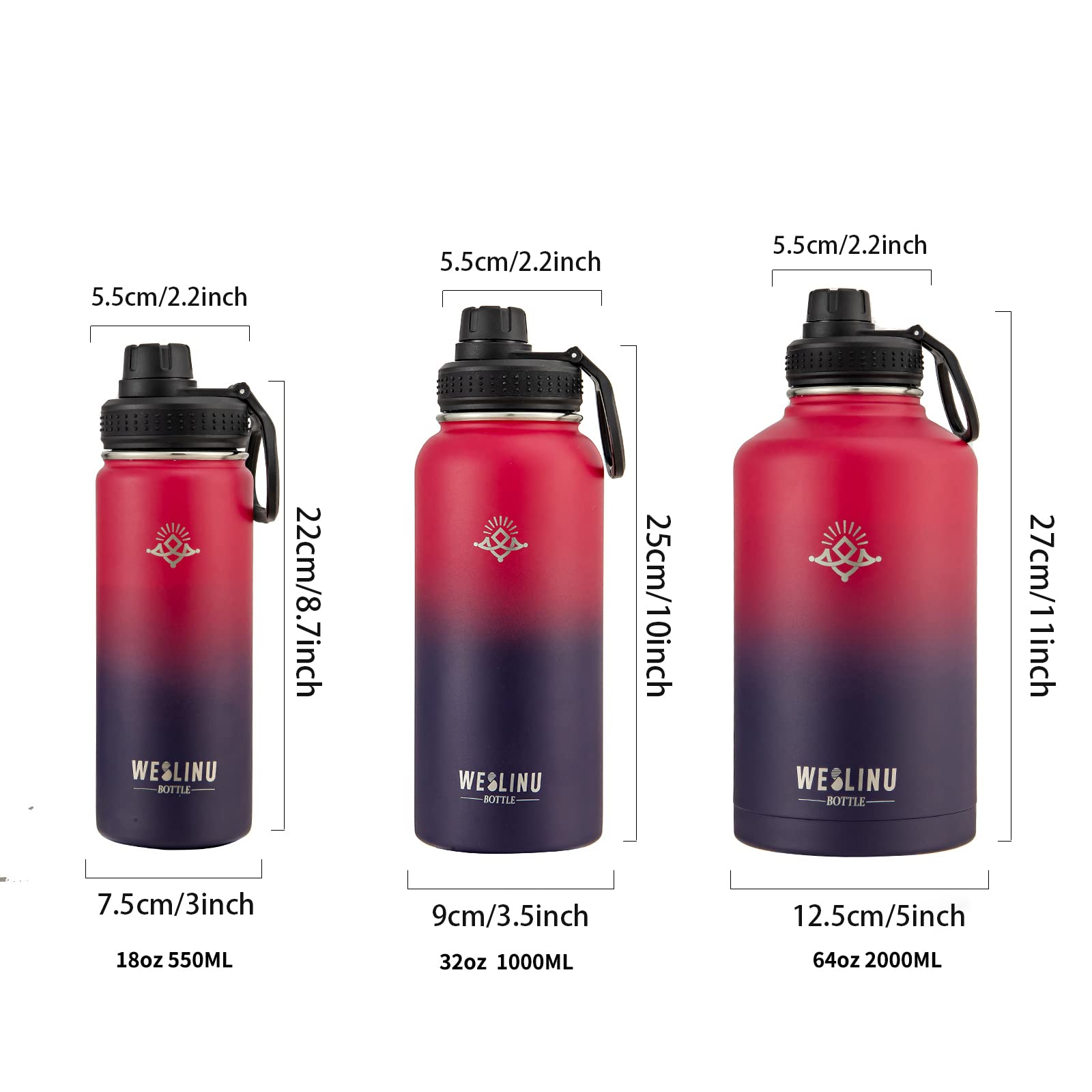 Stainless Steel Water Bottle - Insulated Sport Water Bottle With Straw And Red Purple