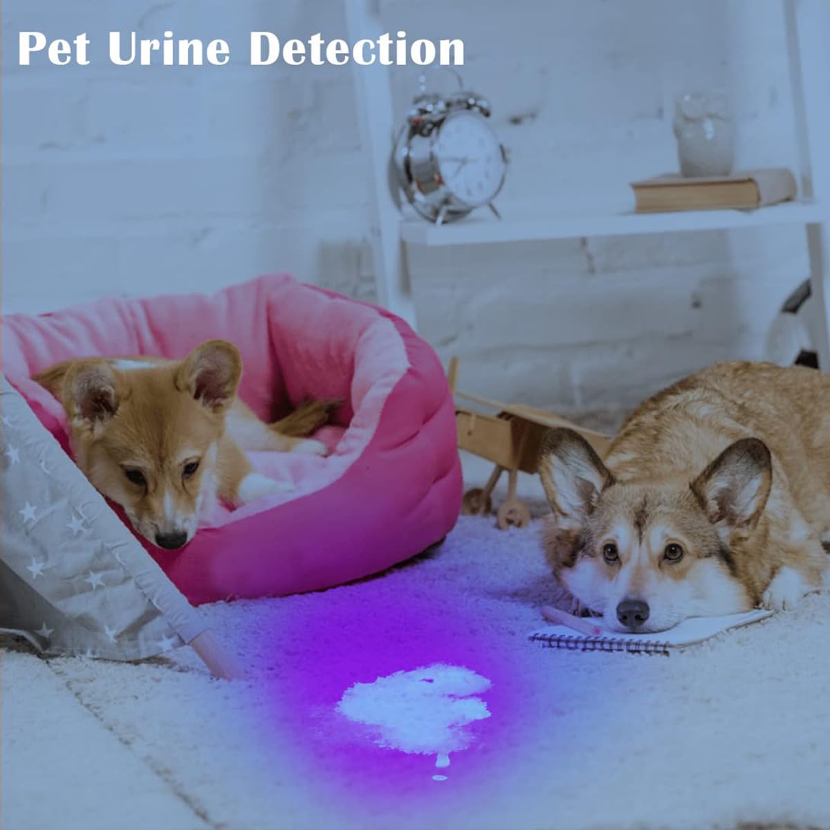 Waklyte Black Light Uv Flashlight, High Power Blacklight Flashlight Rechargeable, 385-395Nm Wavelength Beam Best For Pet Urine Detection, Scorpion, Resin Curing, Bed Bug