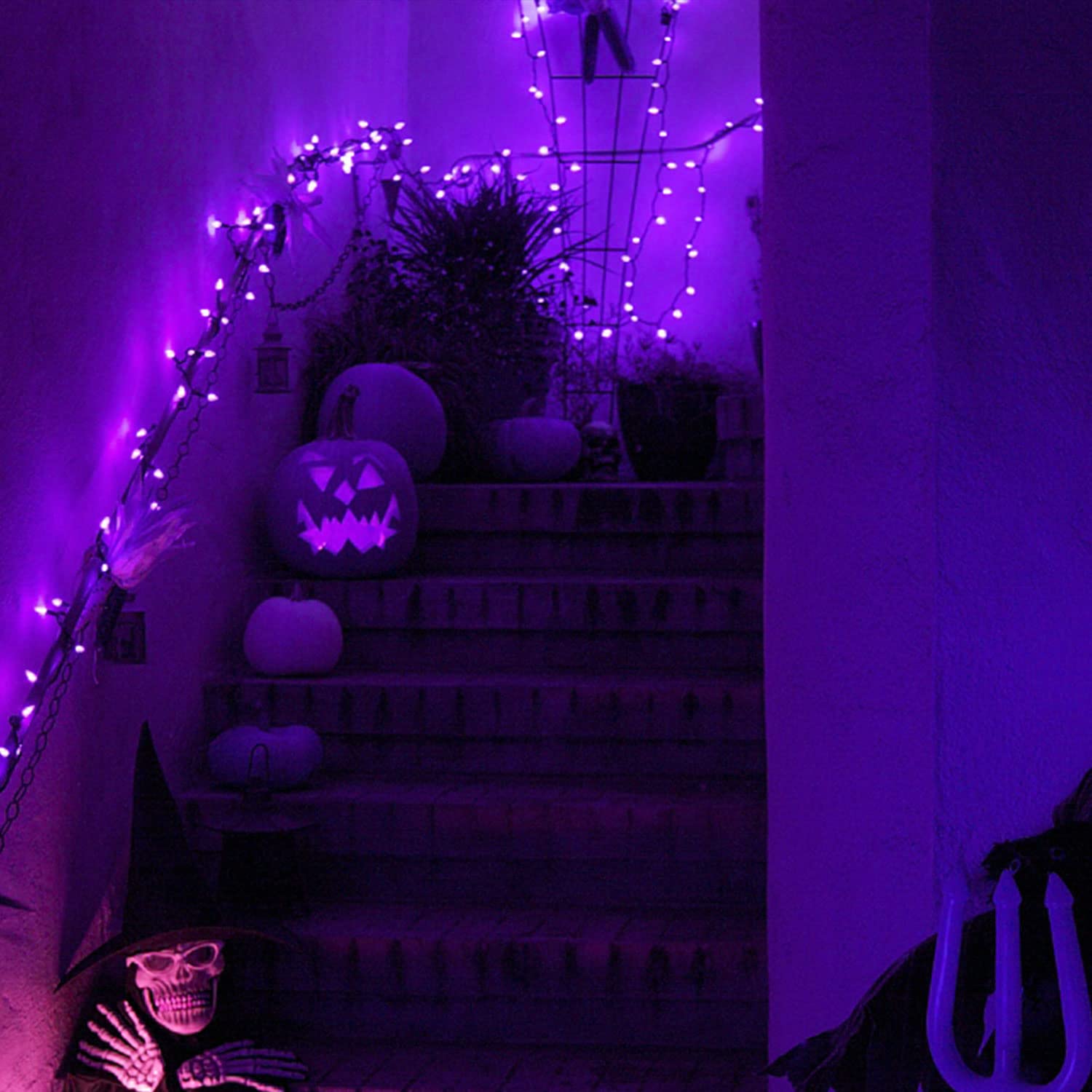 Jmexsuss Purple Solar Halloween Lights(Solar String Lights And Solar Fairy Lights)