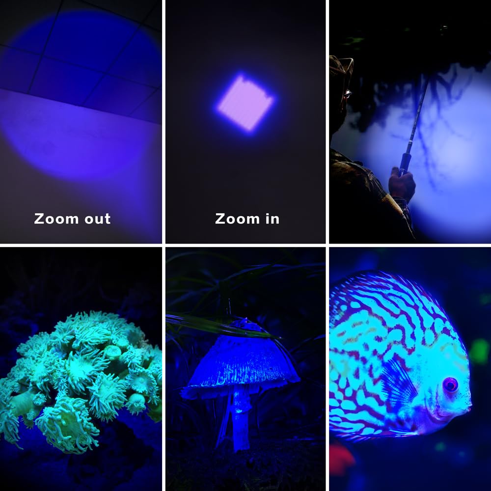 Raysoar 4 Pack Color Light 3-Mode Flashlight: Red Light Flashlight, Green Light Flashlight, Blue Light Flashlight, Cool White Light Flashlight For Night Observation