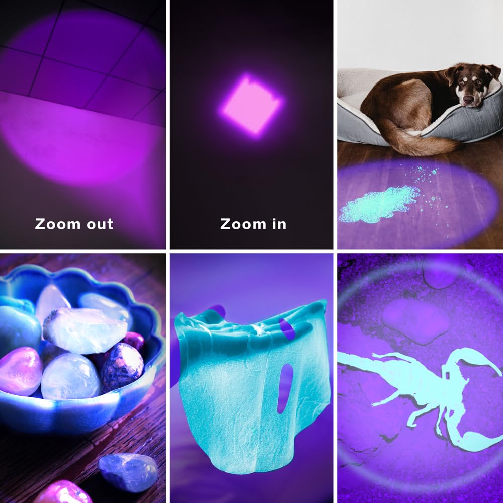 Raysoar 5 Pack Multi-Colored Light Flashlight: Red, Green, Blue, Cool White, Uv Light For Night Activities