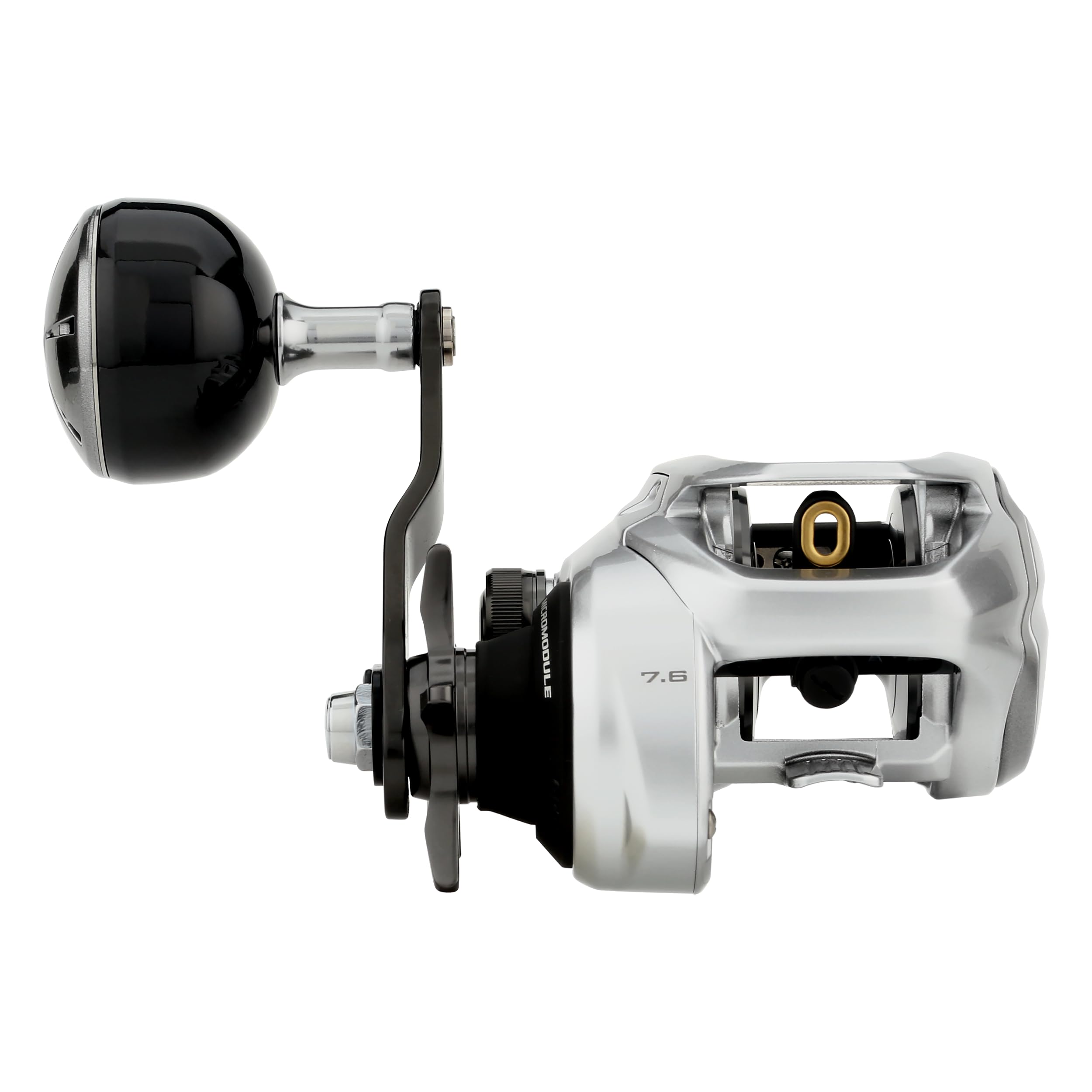 Shimano Tranx 300 B Low Profile Reels Fishing