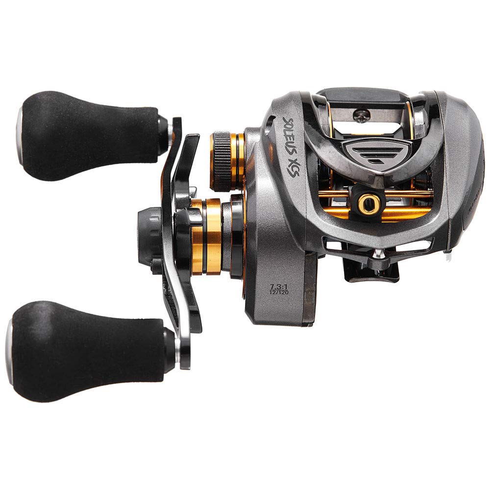Favorite Fishing Soleus Xcs Casting Reel, White/Gold Xcs 8.1:1, Right Slsw8Xr