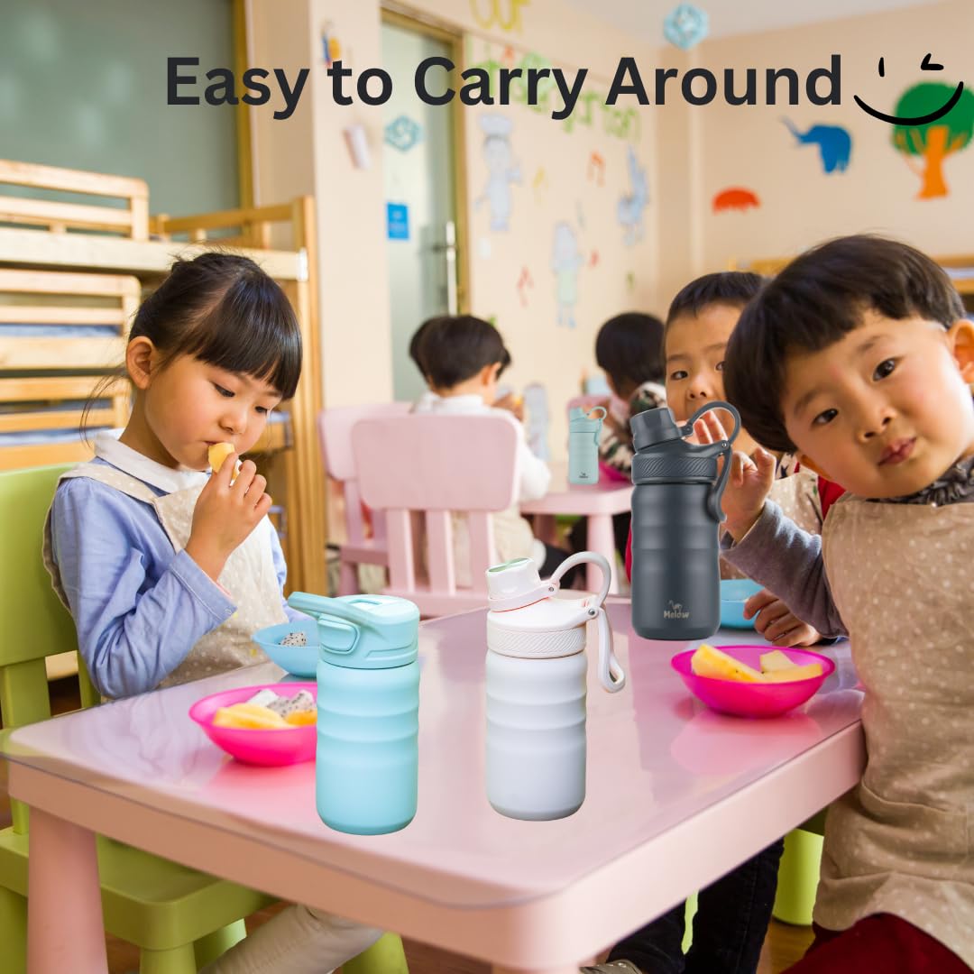 Melow 12 Oz Kids Water Bottle, Stainless Steel Insulated With Straw And Chug Lid, 2 Lids