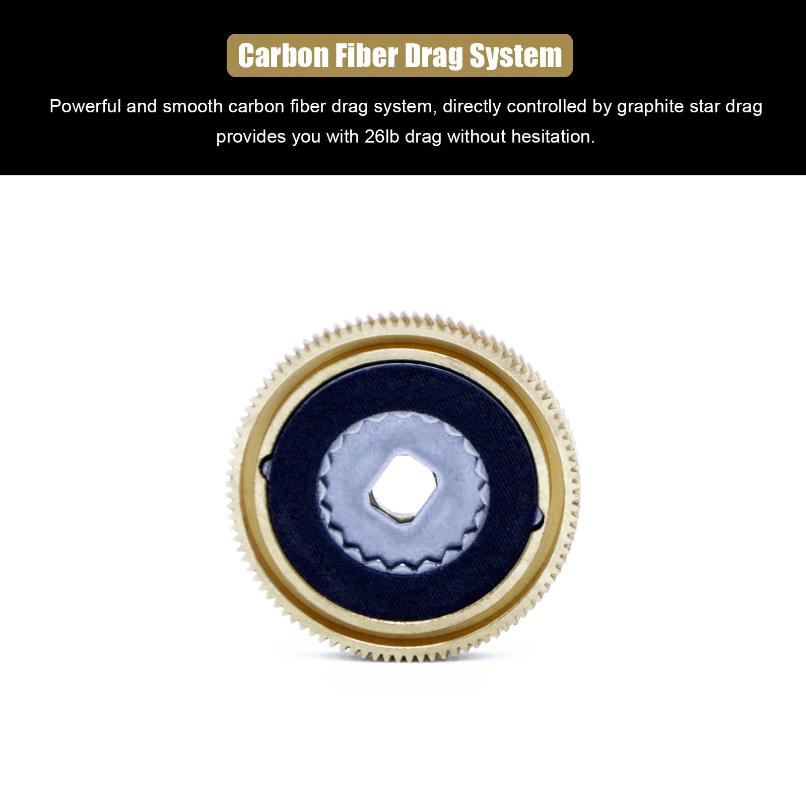 Camekoon Bucara 300 Baitcasting Reel, Wider Graphite Frame, 7+1 Stainless Steel Ball Bearings, 35 Lb Carbon Drag, 10 Button Magnetic Braking System, Short Main Shaft, Low Profile Casting Fishing Reel