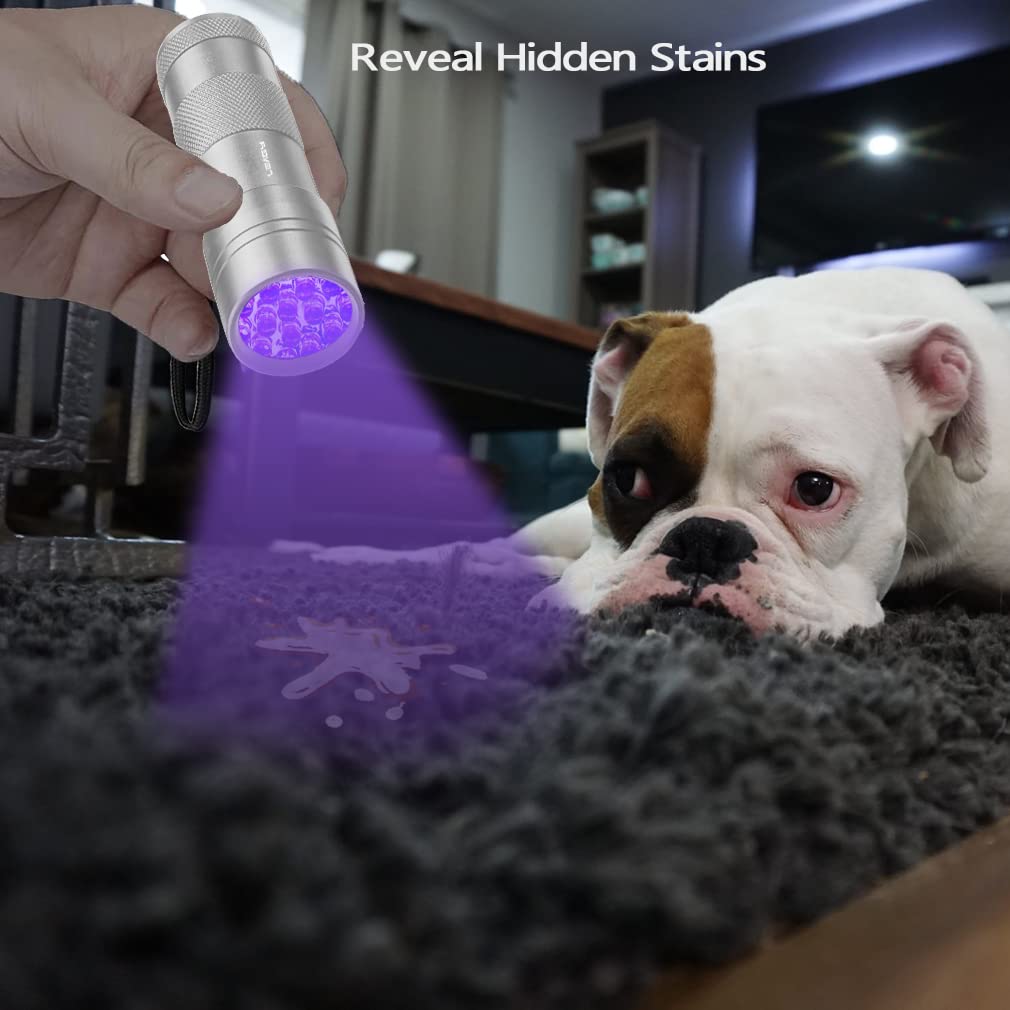 Leagy 2 Pack 12 Led 395Nm Mini Uv Flashlights With Batteries - Pet Urine Detector, For Counterfeit Detection, Banknotes, Document Verification Etc (Silver)