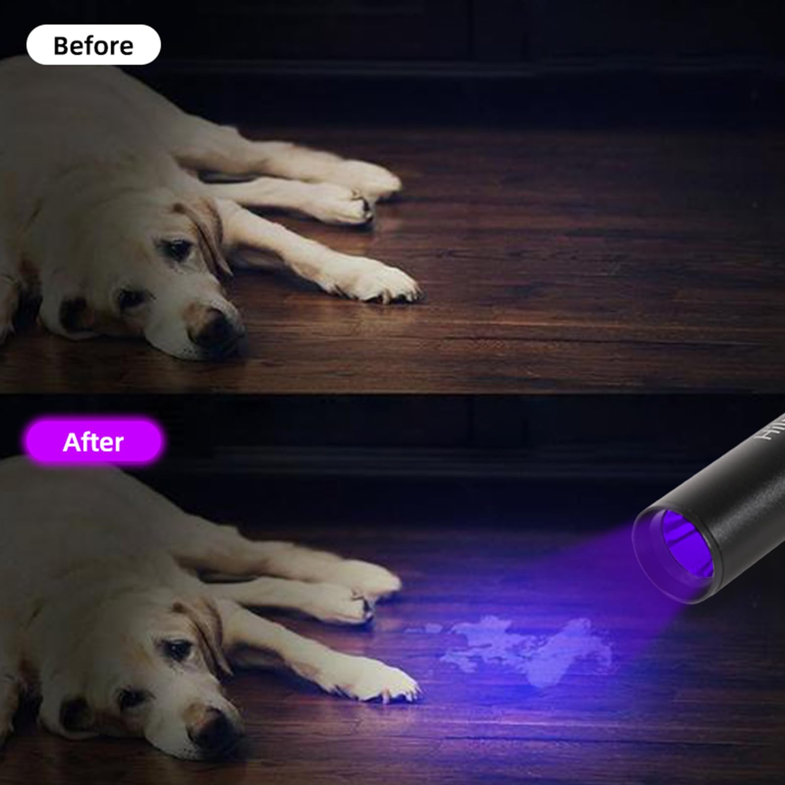 Hilngav 4 Pack Flashlight Uv Black Light 365 Nm 395 Nm, Mini Usb C Led Rechargeable Torch For Pet Dog Urine, Resin Curing, Fluorescent Agent, Stains Detection