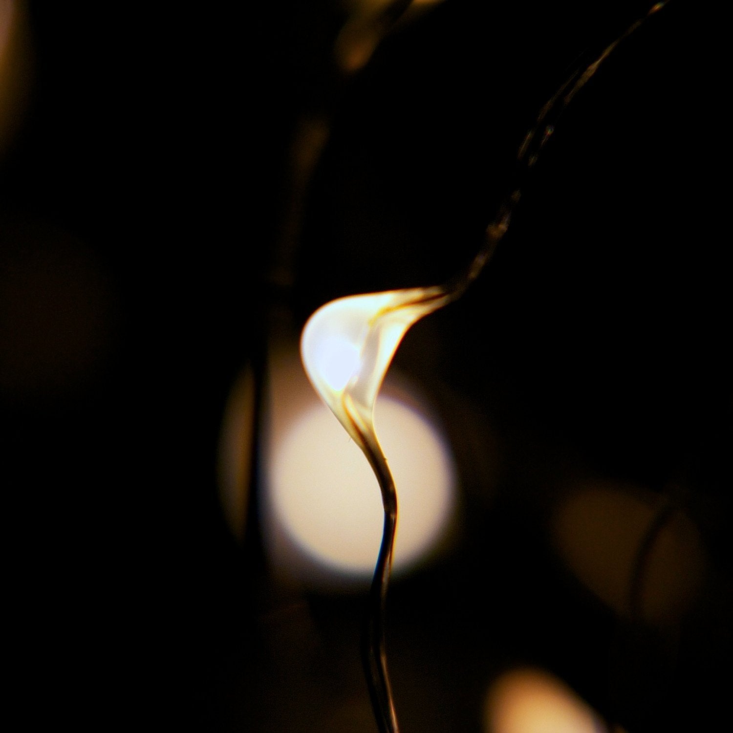 Battery-powered firefly lights with 6.5 feet silver wire for Christmas and parties