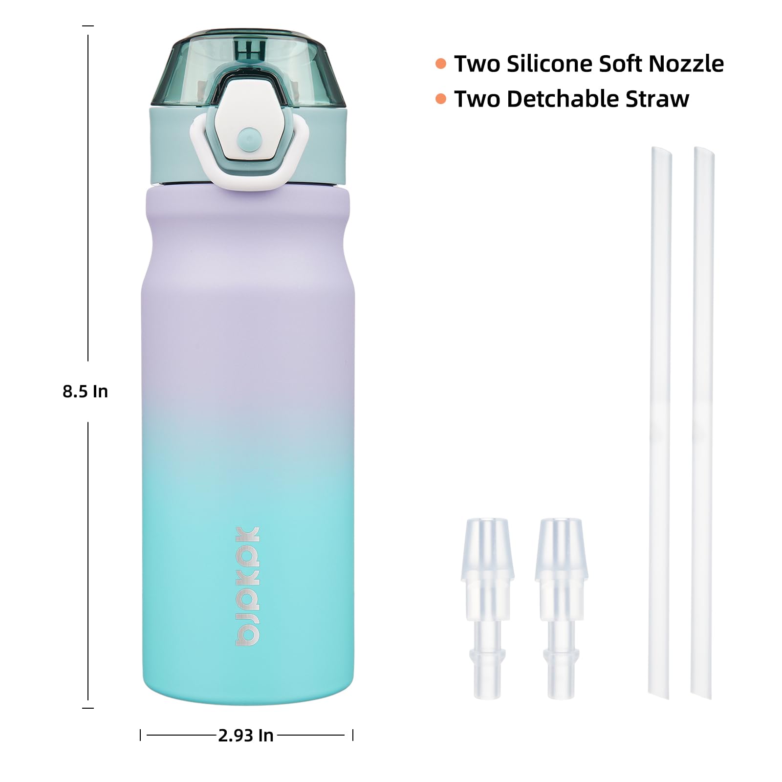 Bjpkpk Water Bottle With Straw 18Oz Insulated Water Bottles Reusable Stainless Steel Metal