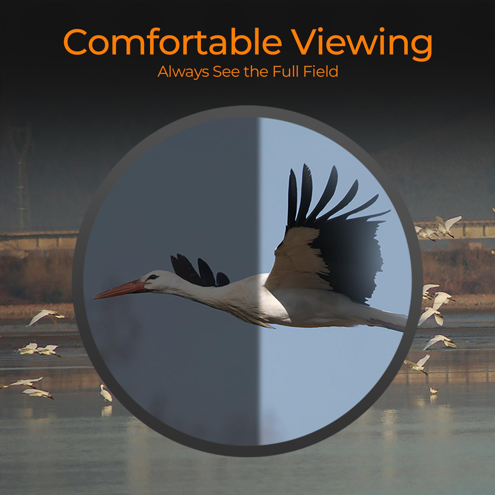 Ciannocrem 12X42 Binoculars For Adults High Powered With Phone Adapter,Build By Powerful Glasses Large View To Watch Football Games,A Travel,Hiking,Bird Watching,Survival And Hunting Gadgets For Men