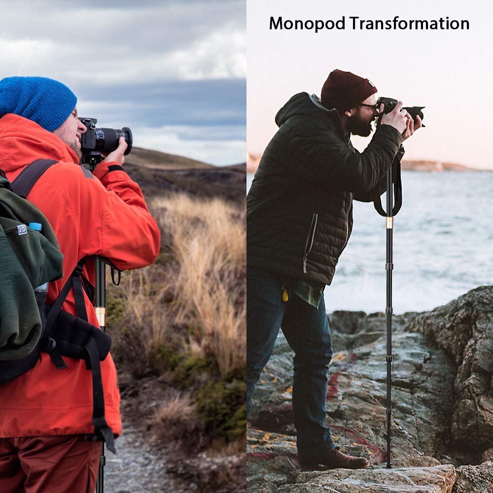 Andoer Camera Tripod, 153Cm/60Inch Foldable Portable Extendable Aluminium Alloy Tripod For Canon Nikon Sony Dslr Camera 1/4" Quick Release Plate, 360°Panorama Ball Head And A Carry Bag