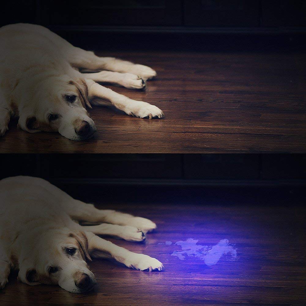 Vansky 51 Led Uv Flashlight & 12 Led Uv Flashlight- Urine Detector For Dog/Cat/Pet Urine & Dry Stains And Bed Bug On Carpets/Rugs/Floor,Matching With Pet Odor Eliminator
