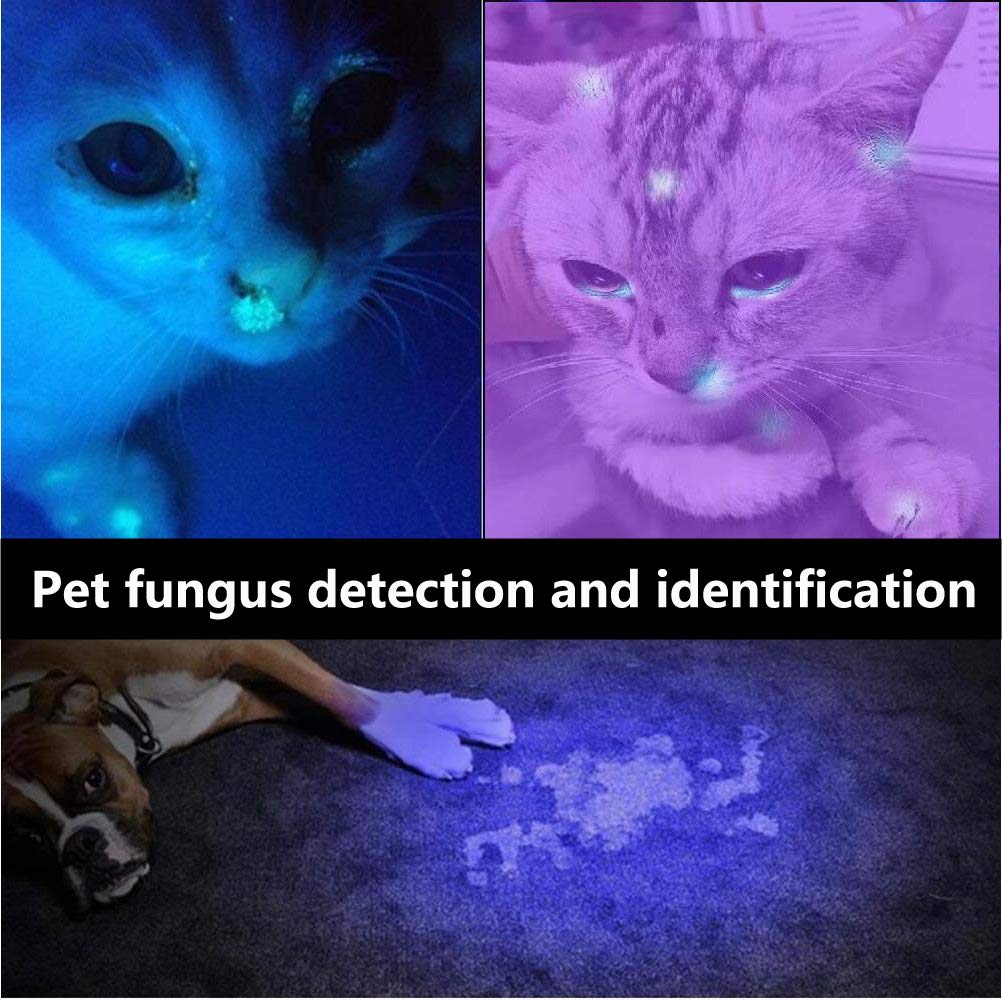 Alonefire Sv005 10W 365Nm Uv Flashlight Black Light Powerful Usb Rechargeable Woods Lamp Bed Bug Detector For Pet Urine Detection, Resin Curing, Minerals, Ac Leak With Uv Protective Glasses, Battery