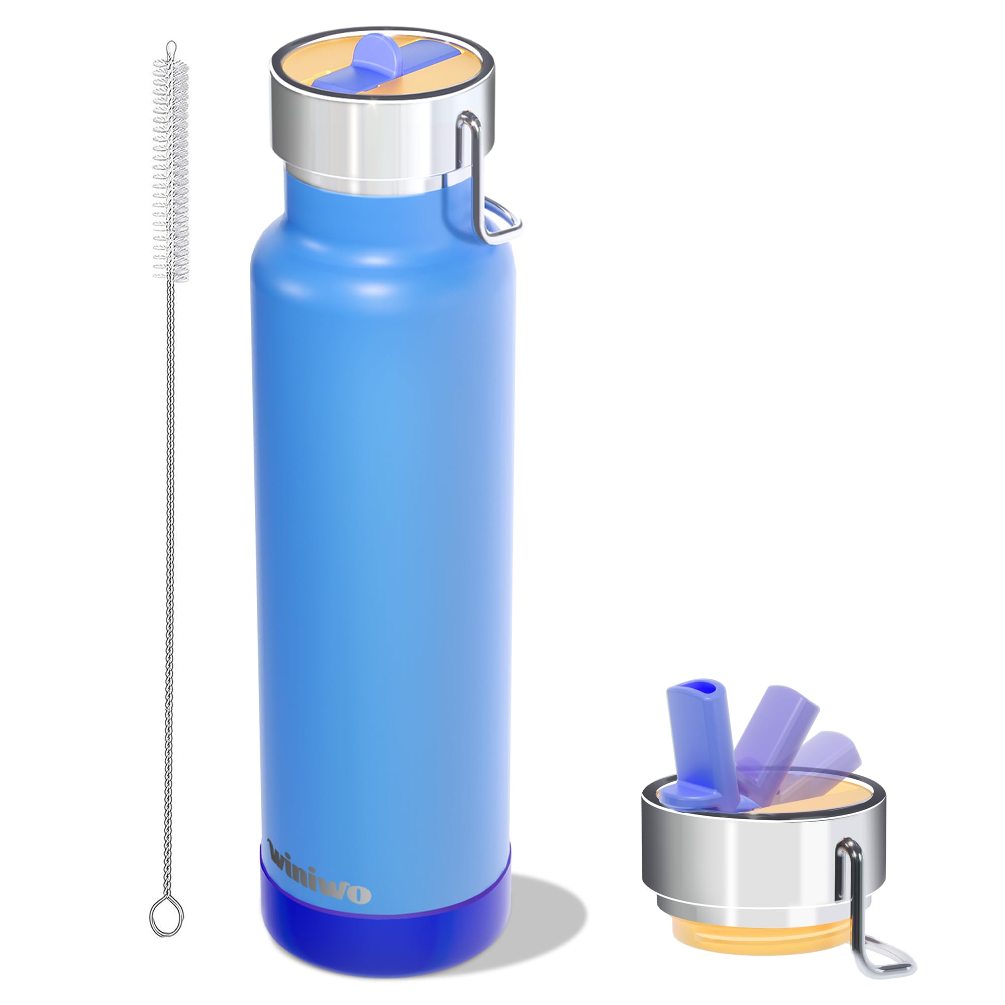 24 Oz Insulated Slim Water Bottle With Flip Straw And Handle, Stainless Steel Water Bottles