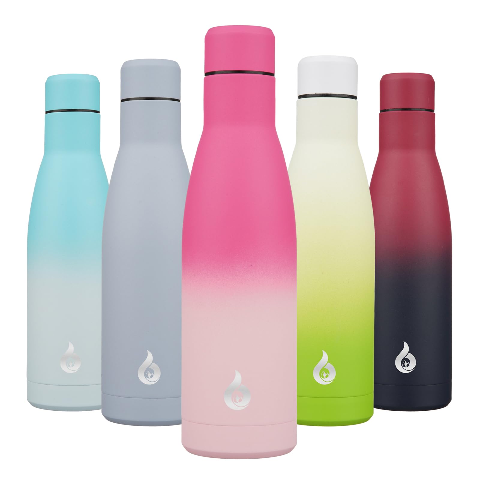 Bjpkpk Insulated Water Bottle 17Oz Stainless Steel Water Bottles Disawasher Safe Reusable Metal