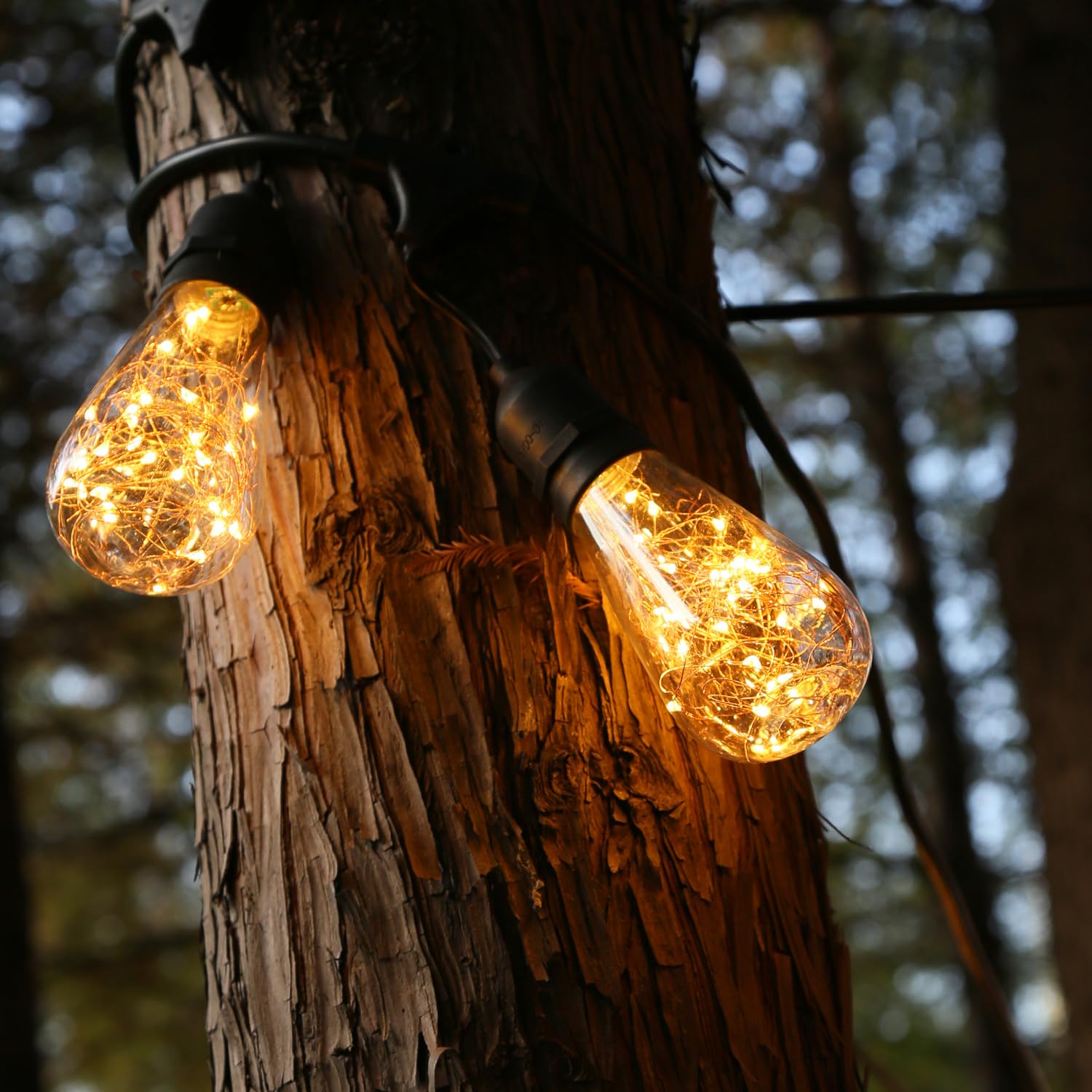 Ceinbota Ceinbota Led Fairy Bulbs, String Light Bulbs.St19 Starlight Decorative Bulbs Replacement Incandescent Lamp For Patio, Garden,Batheroom,Bedroom,Warm White 2200K,70Lm,E26 Base,120V/Ac,Not Solar Energy(4Pack)