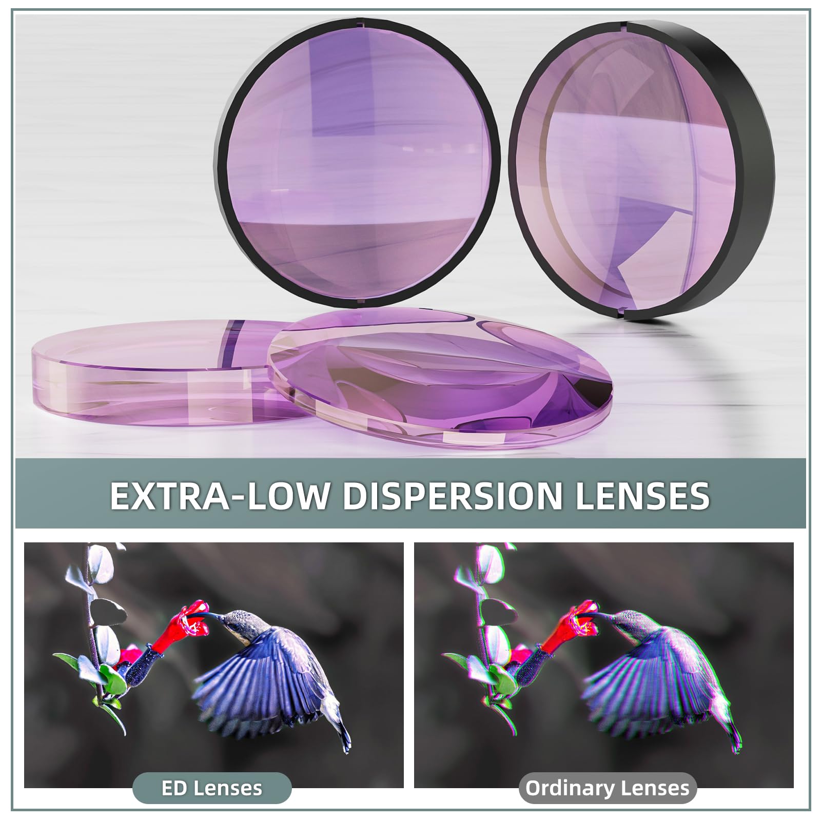 Three Triping 10X42 Ed Binoculars For Adults High Powered With Phone Adapter, Waterproof Binoculars With Ed Lenses, Super Bright Clear For Bird Watching, Hiking, Cruise Ship, Wildlife Viewing And Outdoor Activities