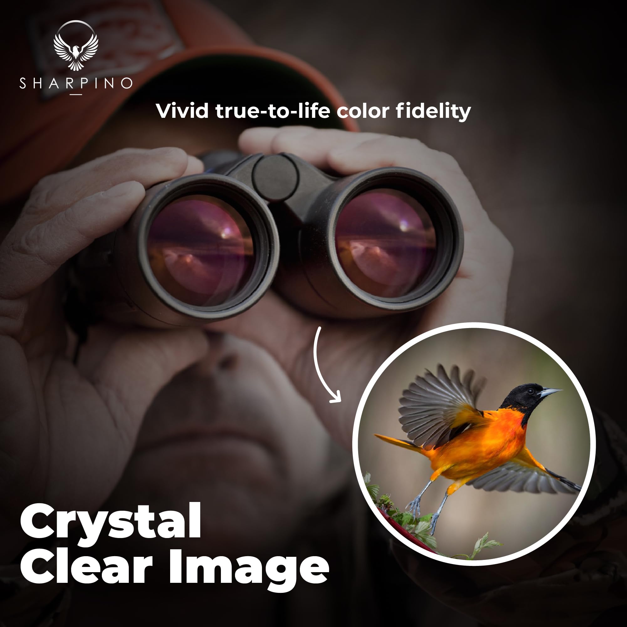 Sharpino 10 X 50 Binoculars For Adults High Powered – Wide Angle Binoculars With Anti Reflective Fog Proof Lens – Waterproof, Outdoors, Hunting, Bird Watching, Concert, Sporting Events