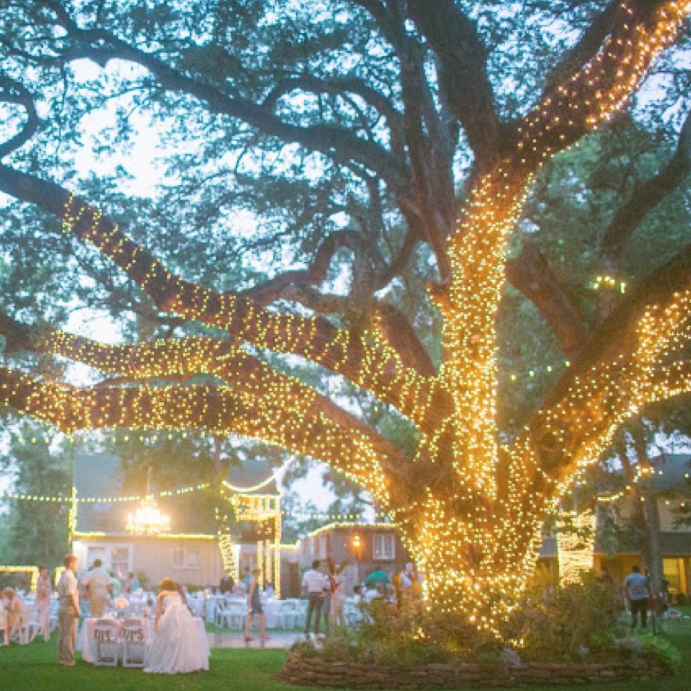 Devida Solar String Lights 120 Warm White Led, Easy To Install, Automatically Turns On At Night, Outdoor Waterproof, 55 Ft Set Includes 13 Ft Lead Wire Plus 42 Ft Lighted Strands For Tree Wrap