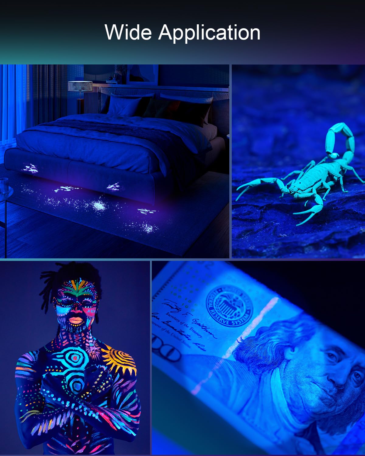 Cosoos 2 Pack Uv Flashlight, 395Nm Mini Black Light, Zoomable Small Torch Light, Portable Urine Detector For Dog/Cat/Pet Urine, Dry Stains, Bed Bugs, Scorpion