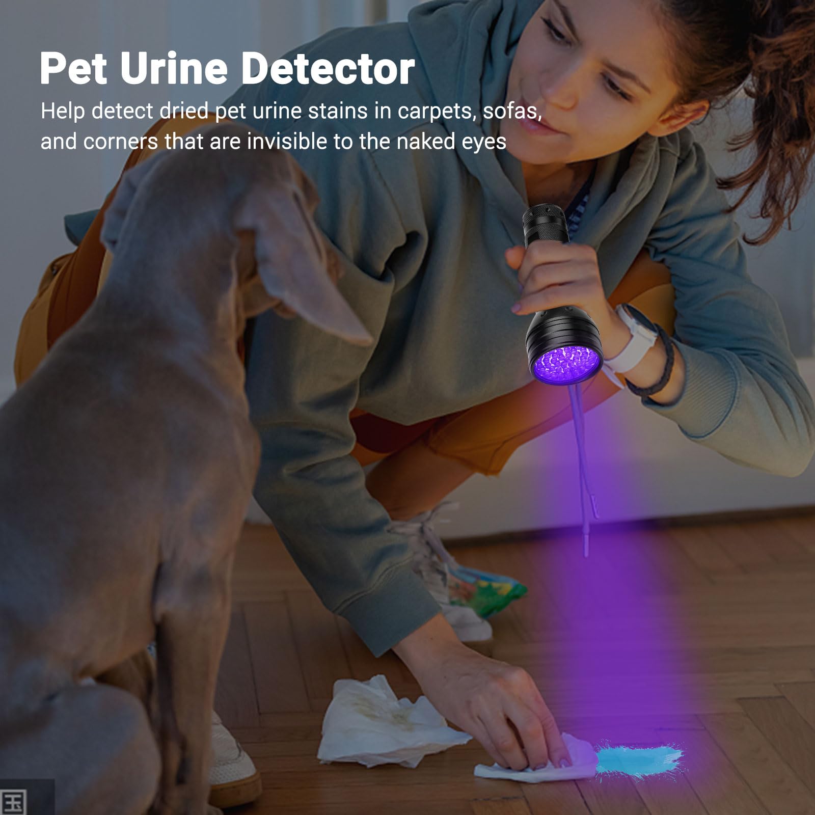 Moipejo Uv Flashlight Black Light, Ultraviolet Blacklight For Pet Urine Detection 51 Led 395 Nm, Detector Light For Dog/Cat Urine, Dry Stains, Bed Bug, Resin Curing, Scorpions Finder