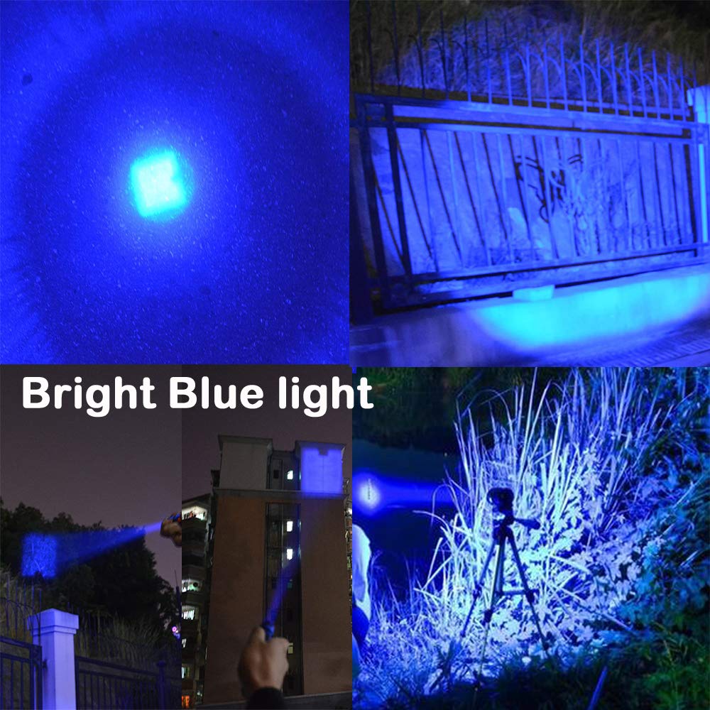 Wayllshine Pack Of 3 Single Mode Blue Light Flashlight, Blue Led Flashlight Torch For Night Fishing, Hunting, Observation