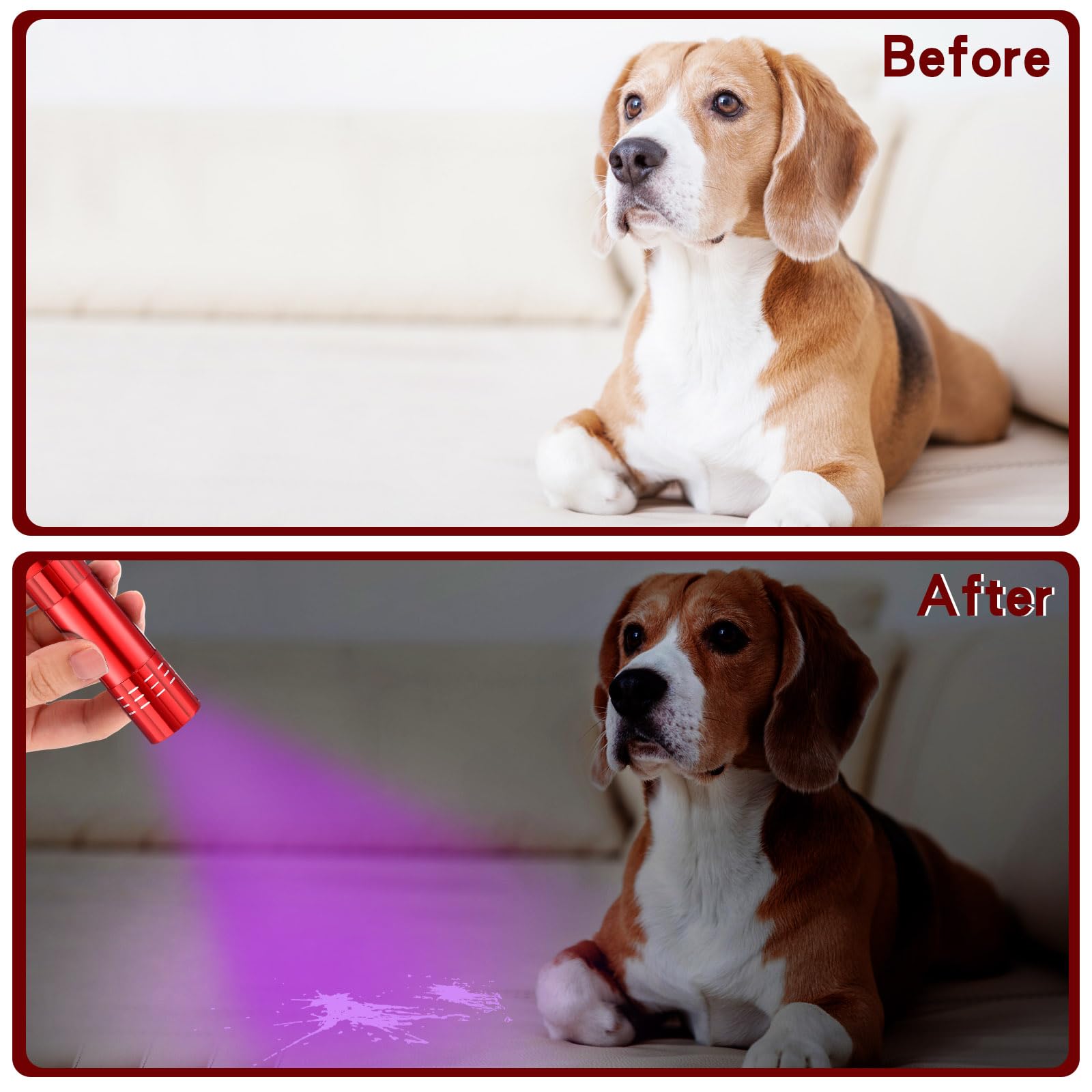 Riakrum 12 Pieces Blacklight Flashlights Led Uv Handheld Mini Light Flashlight Small Portable Detector 395Nm 9 Led Light, Not Included Battery(Red)