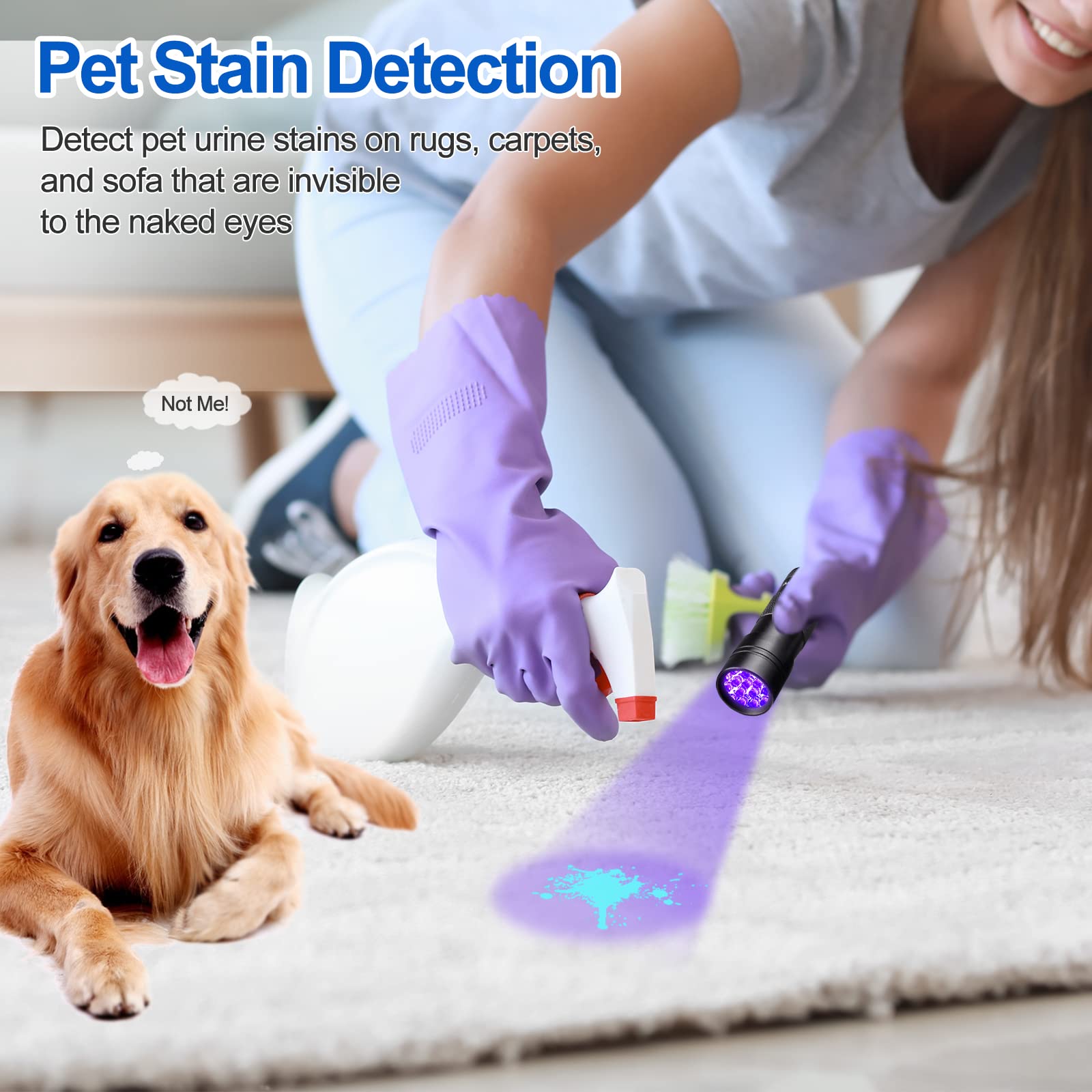 Vansky 【Recommend 365Nm And 12 Led 395Nm Blacklight Uv Flashlight Pet Urine Detector For Dog/Cat Urine, Dry Stains