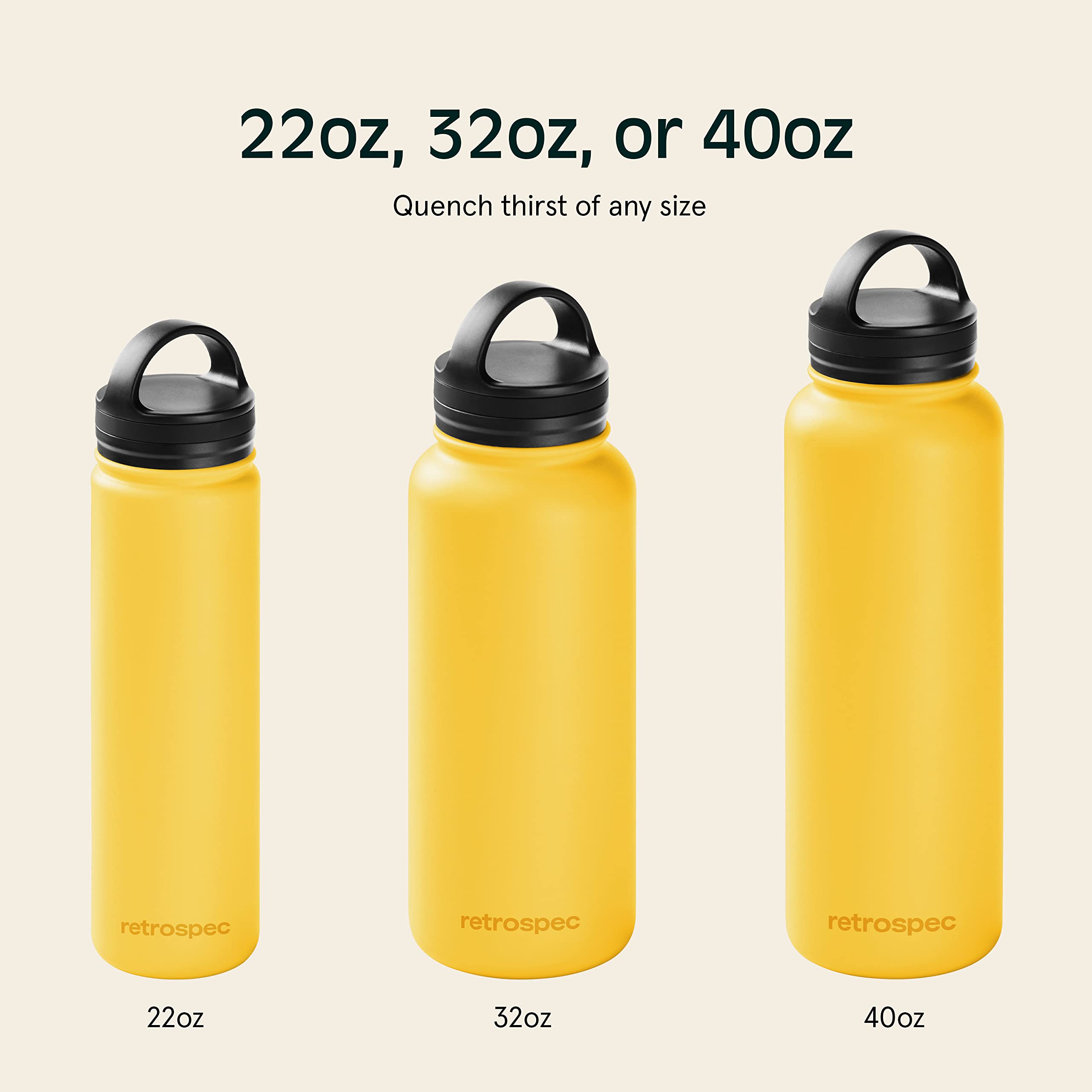 Retrospec Alder Insulated Water Bottle With Straw Lid & Handle Cap - Stainless Steel Wide