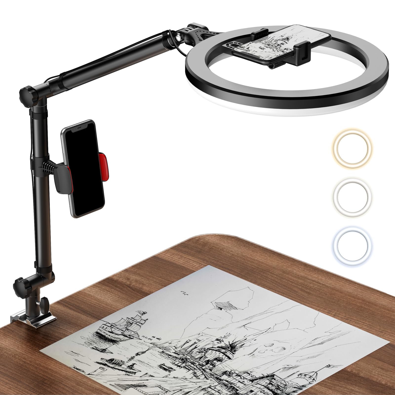 Luoled Ring Light With Stand And Phone Holder, Usb 10" Ring Light For Desk, Overhead Camera Mount With Ringlight, Desk Lamp With Clamp For Photography/Makeup/Live Streamvideo/Youtube