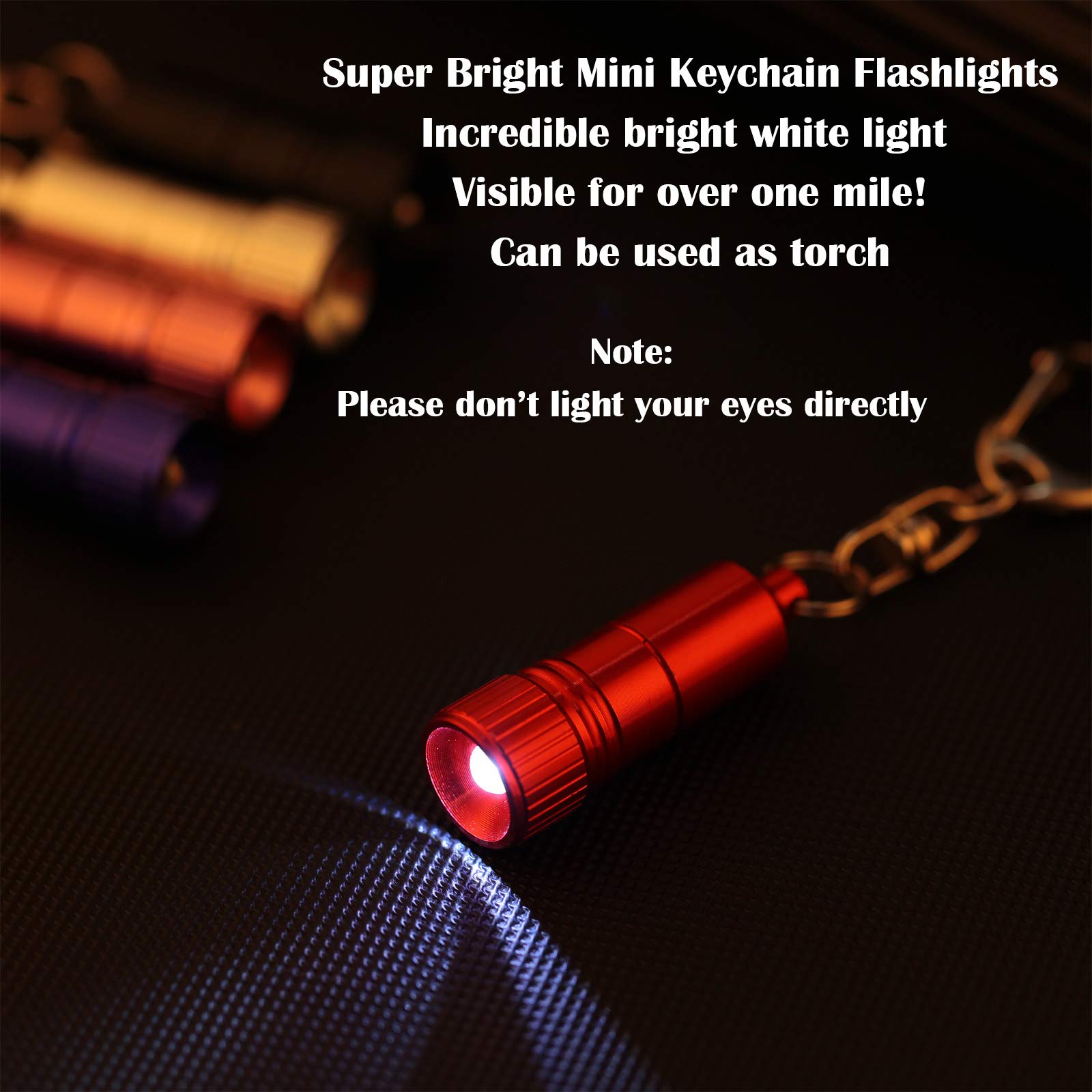 Mudder 10 Pieces Small Led Flashlight Keychain Bright Flashlight Keychain Ring Portable Torch With Hook For Camping, Battery Included