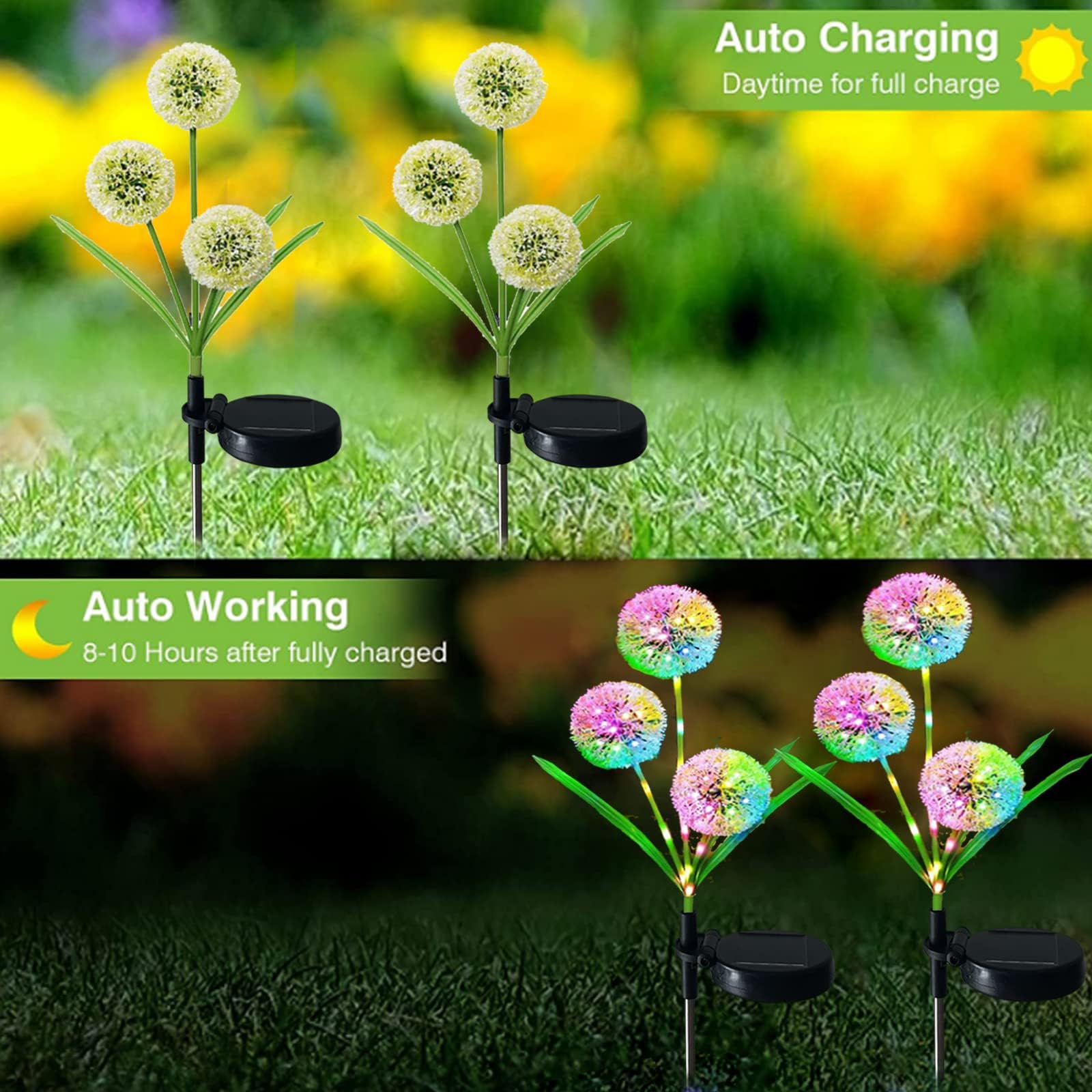 Xrr Solar Lamps For Outdoor Garden, 2 Pieces Solar Lights Garden Decoration 7 Colour Change Led Solar Garden Light Dandelion Waterproof Solar Flower Lamp For Terrace, Lawn And Patio