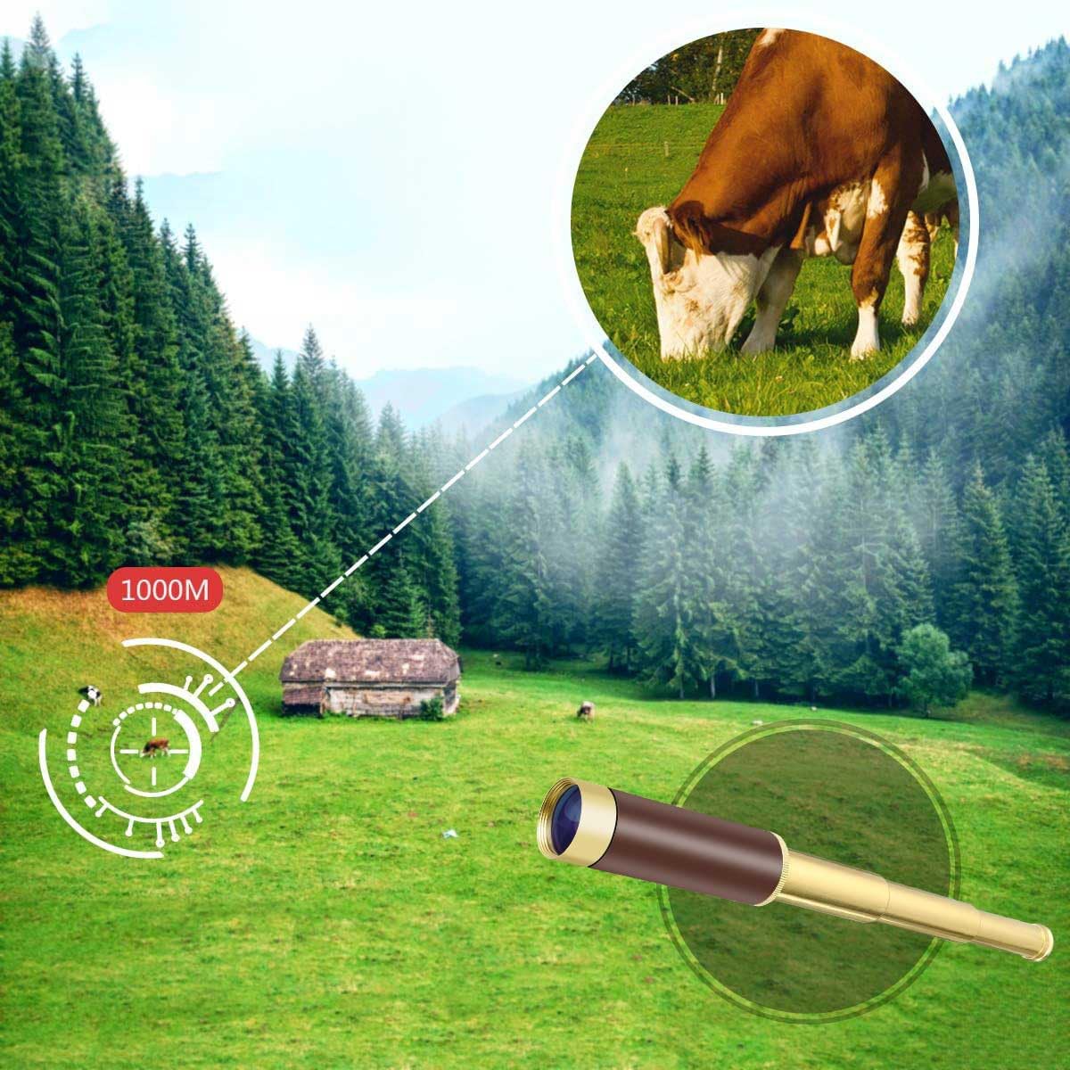 Aubric Pirate Monocular Telescope For Kids & Adults 25X30 High Powered Zoomable Collapsible Brass Handheld Waterproof Telescope Monocular For Cruise Ship Travel Watching Games Hiking Hunting