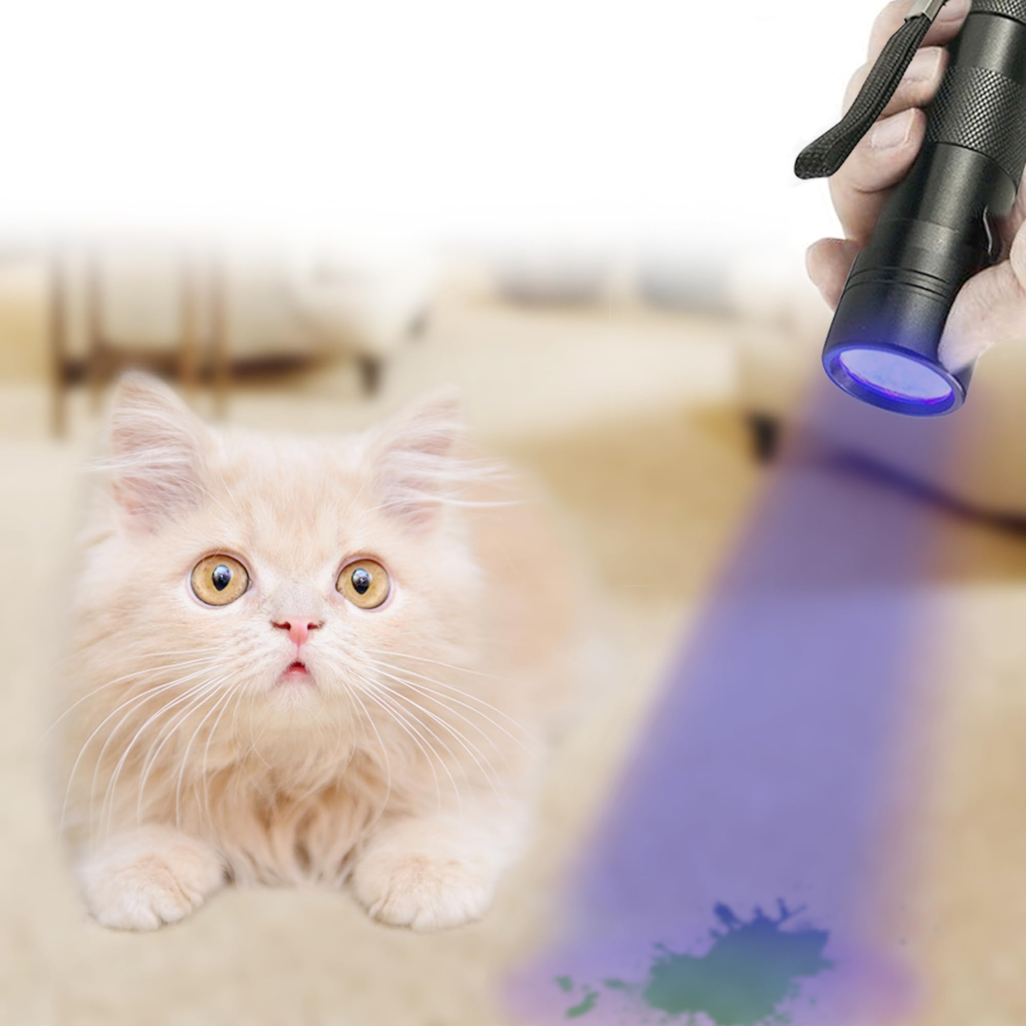 Jor Uv Flashlight With Aaa Batteries, Pet Pee & Stain Detector, Black Ultra Violet Mini Handheld Light, Spots Invisible Stains, Aluminum Alloy, Multifunctional