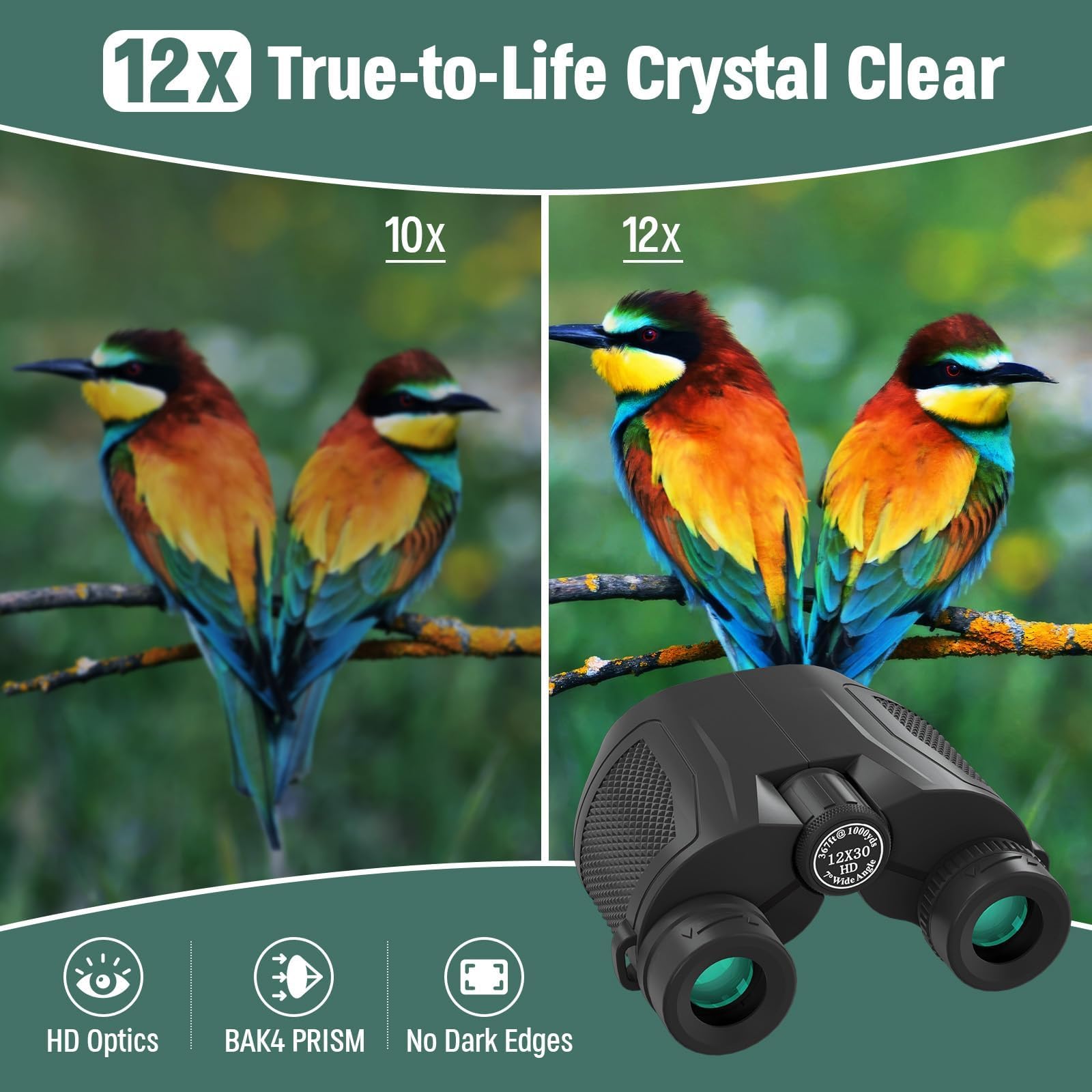 Urbancoast 12X30 Compact Binoculars For Adults And Kids, High Power Lightweight Small Binoculars With Phone Adapter For Cruise Ship Hiking Bird Watching Sports Safari Viewing Football Sports Concert