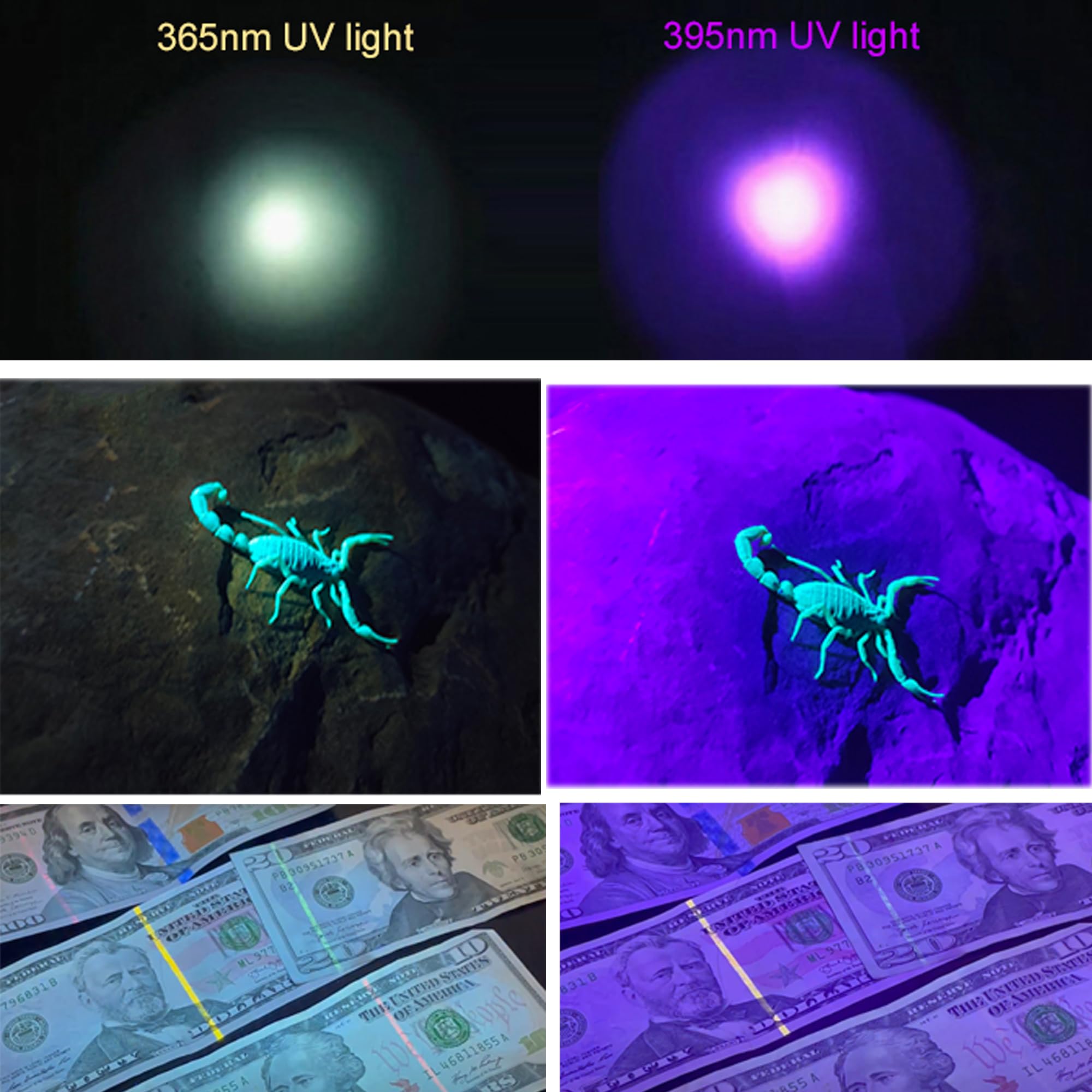 Zyunmall Uv Flashlight Black Light, 365Nm & 395Nm Wood’S Lamp 2 In 1 Ultraviolet Led Handheld Torch For Pet Urine, Fluorescent Agents, Uv Glue Curing, And Scorpion Detection