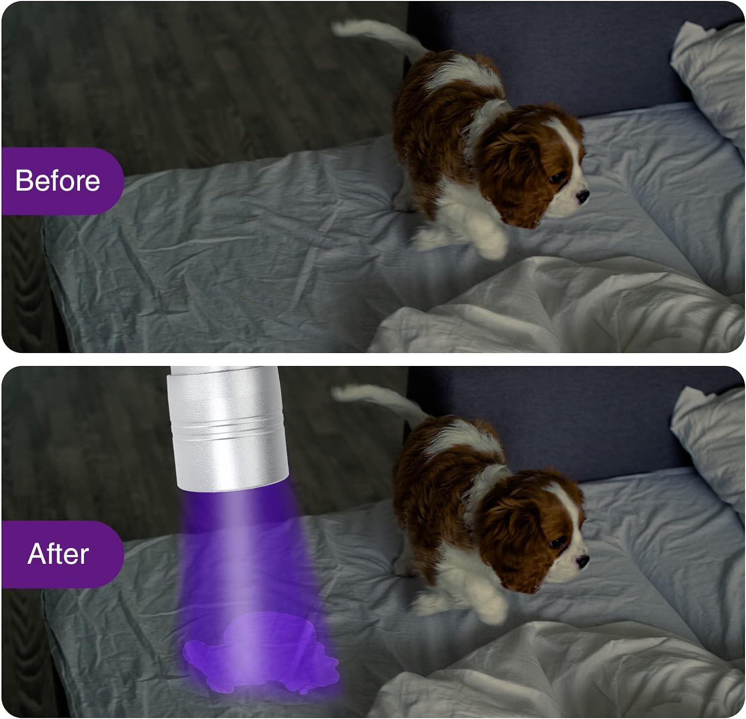 Cosoos 2 Pack Black Light Flashlights, 12 Led Small Uv Light 395Nm, Handheld Urine Detector Light For Dog Cat, Dry Stains, Resin Curing, Bed Bug, 6 Aaa Batteries Included(Silver)