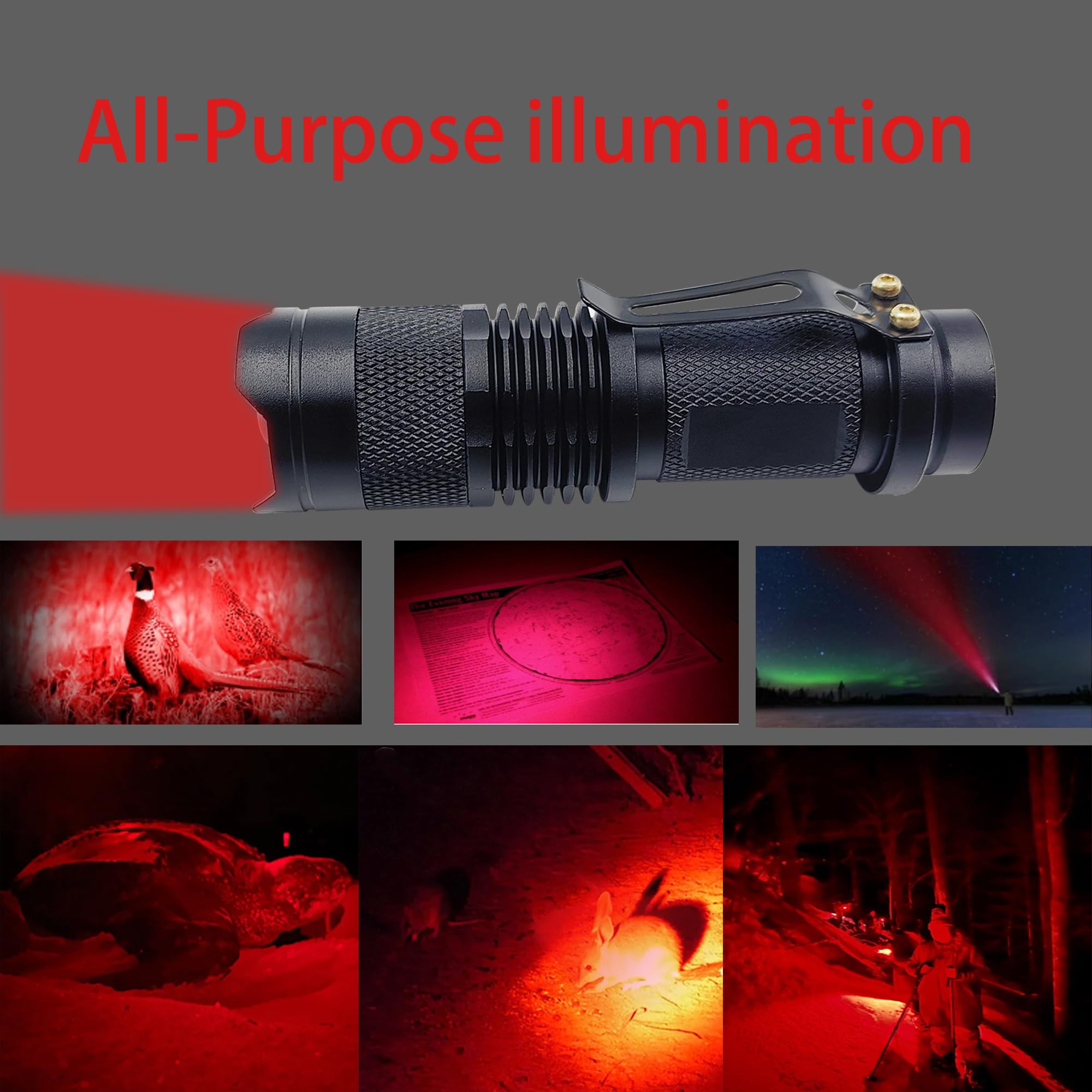 Zyunmall 4 Color Light Single Mode Flashlight: Red Light Flashlight, Green Light Flashlight, Blue Light Flashlight, Cool White Light Flashlight, 4 Pack, Black, Sk68-Wrgb-Flashlight-1Mode-Zy-24-25