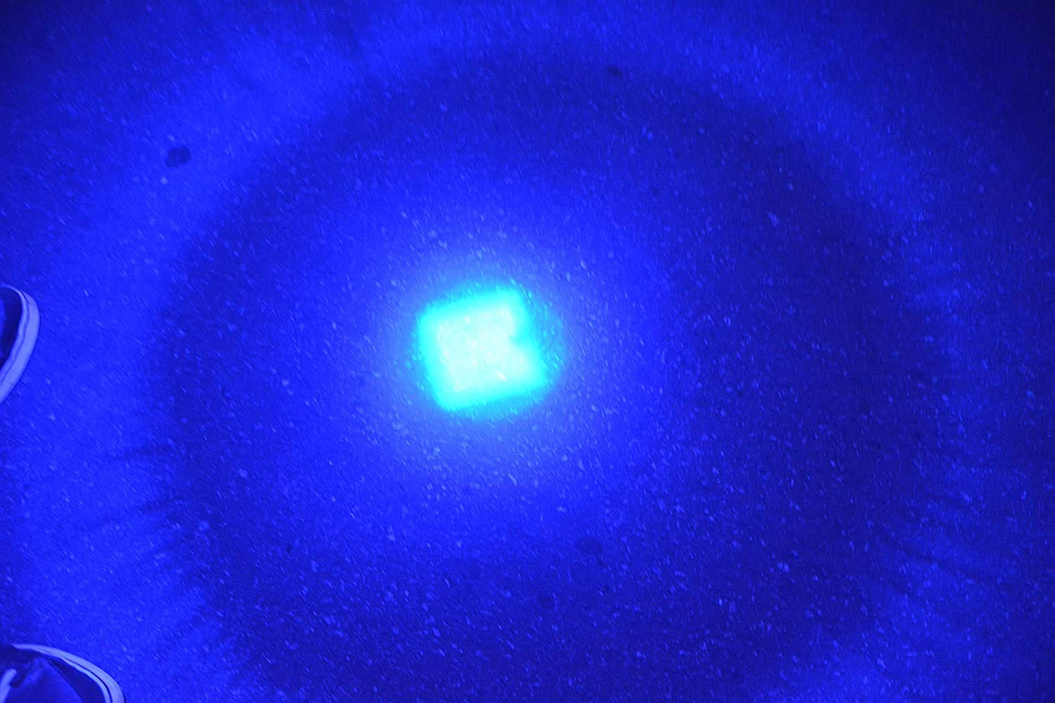 Wayllshine Pack Of 3 Single Mode Blue Light Flashlight, Blue Led Flashlight Torch For Night Fishing, Hunting, Observation