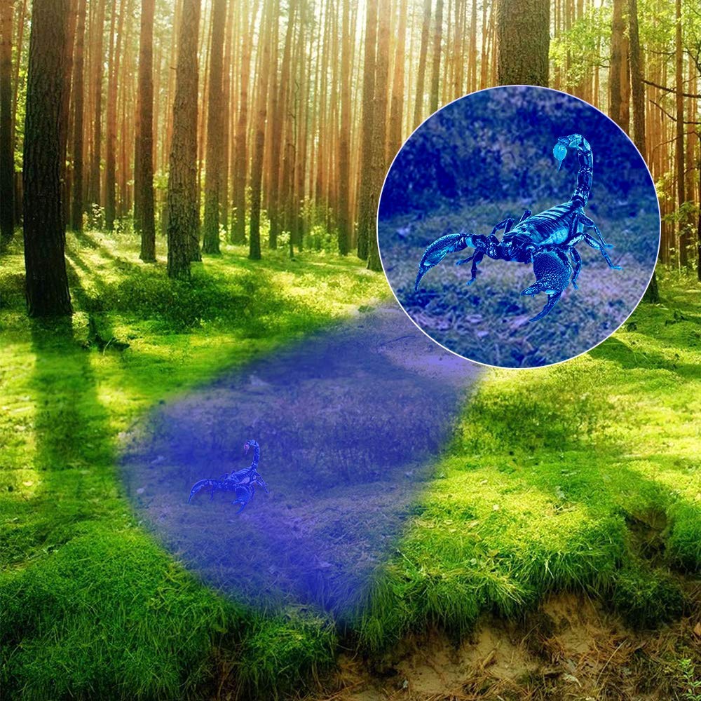 Vansky 51 Led Uv Flashlight & 12 Led Uv Flashlight- Urine Detector For Dog/Cat/Pet Urine & Dry Stains And Bed Bug On Carpets/Rugs/Floor,Matching With Pet Odor Eliminator