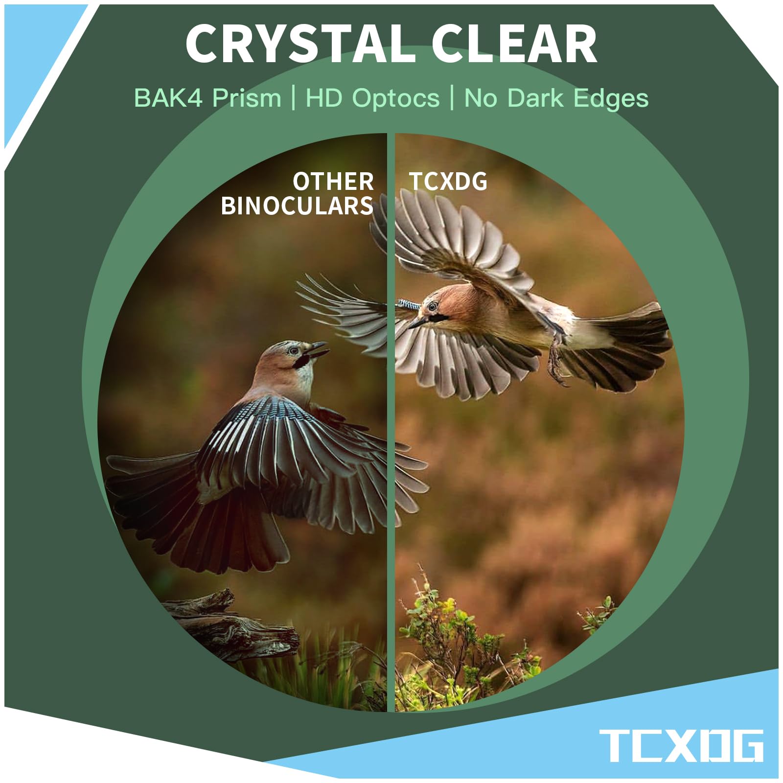 Tcxdg Hd 10X42 Binoculars With Phone Adapter - 8X20 Corner Monoculars - Large View, Clear Low Light Binoculars - Waterproof, Lightweight For Birding, Boating, Hiking, Camping (Black)