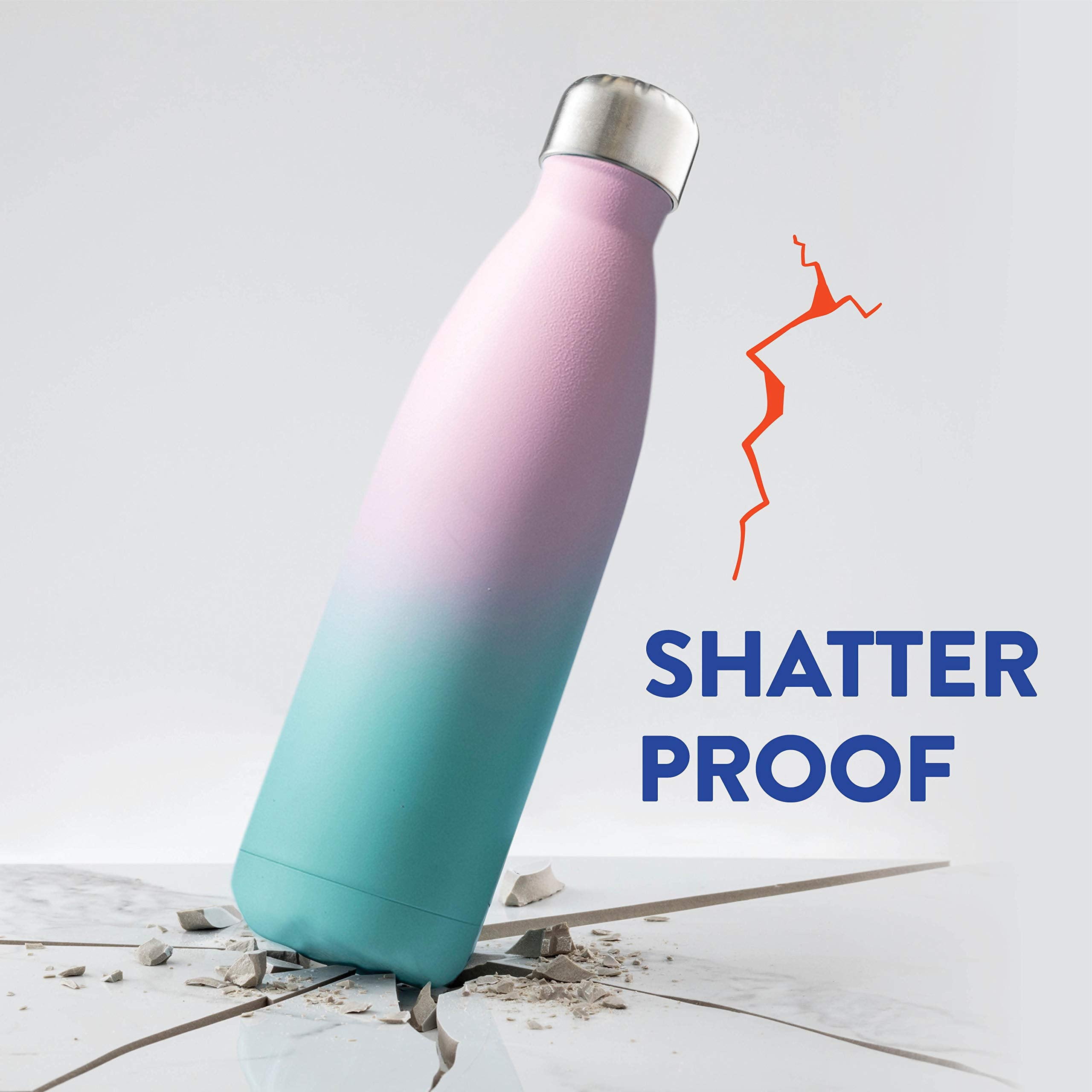 Finedine Triple-Insulated Stainless-Steel Water Bottle (Set Of 2) 17 Oz, Sleek Bottles, Keeps Hot