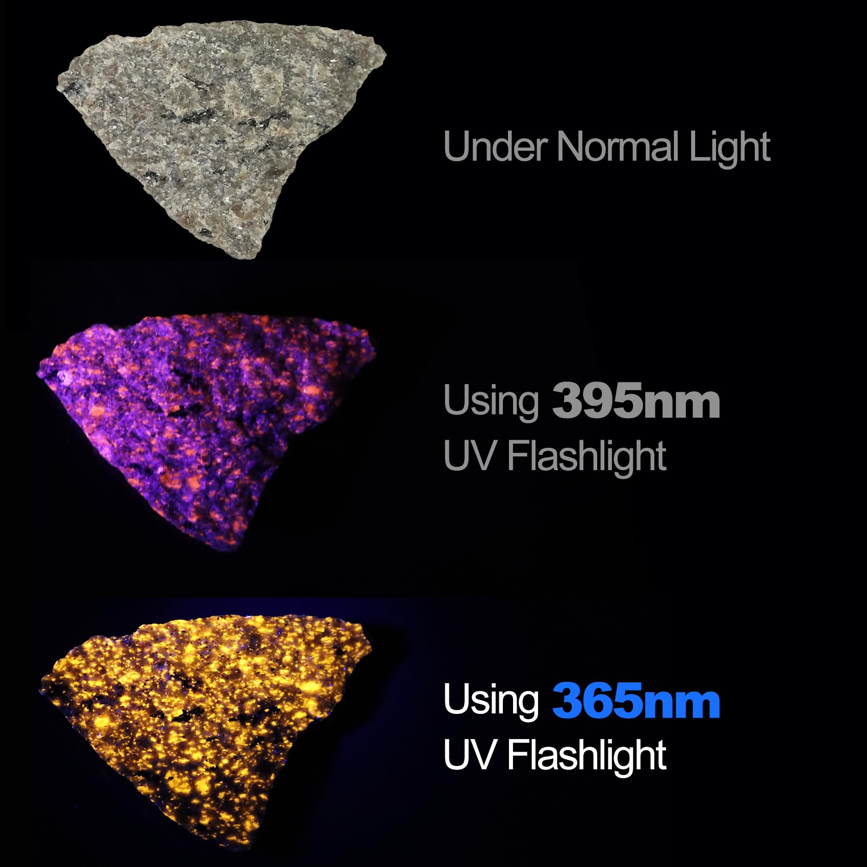 Vansky 365Nm Black Light Flashlight: Professional Blacklight Rechargeable Uv Flashlights With 3 Leds - Rock Hunting - Scorpion Hunting & Pet Urine Detector